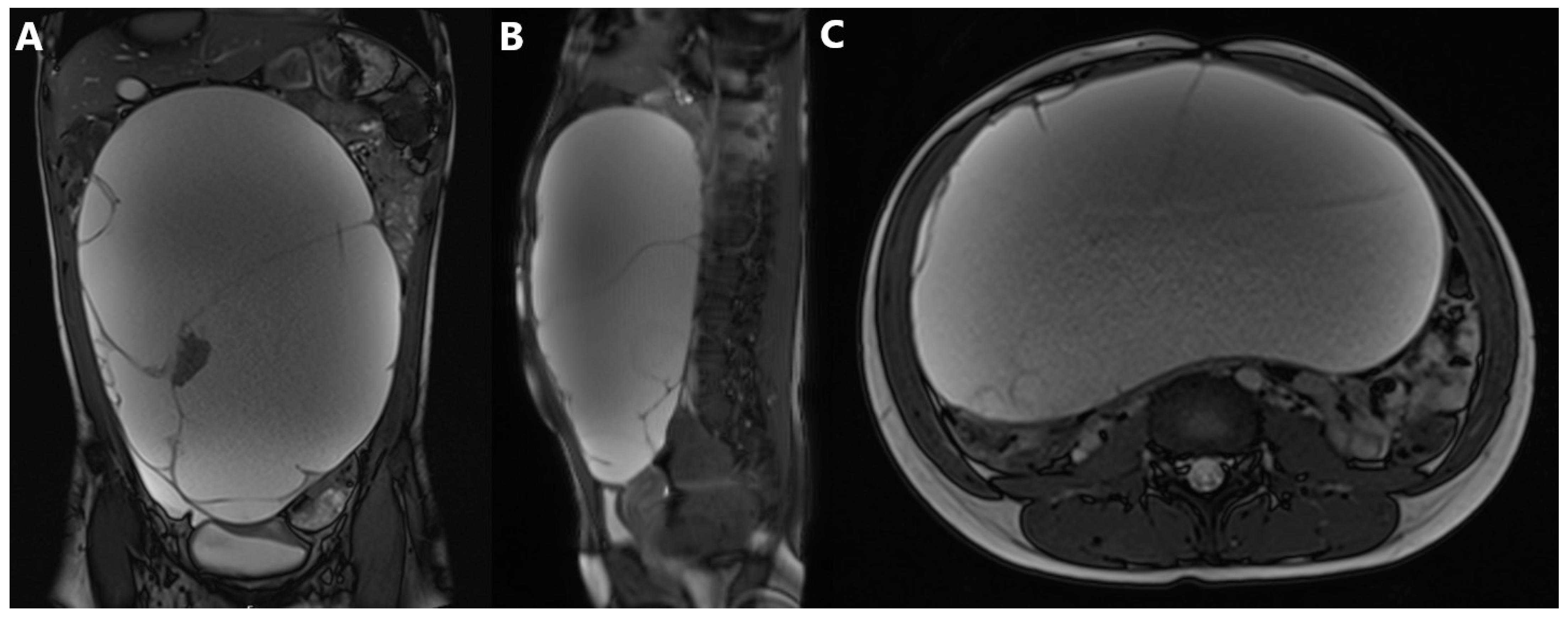 Jcm 14 06387 g002 Jcm 14 06387 g002