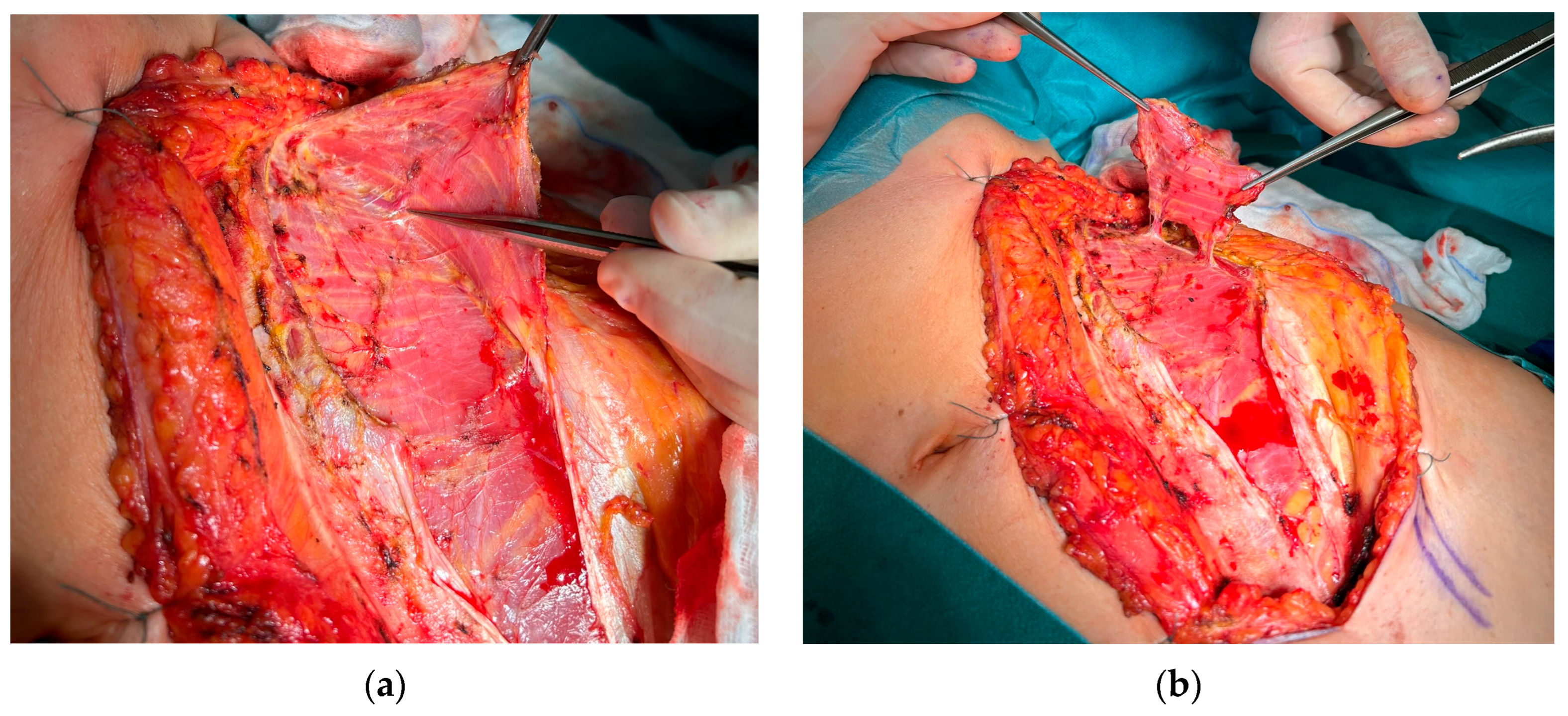 Jcm 14 06405 g001 Jcm 14 06405 g001