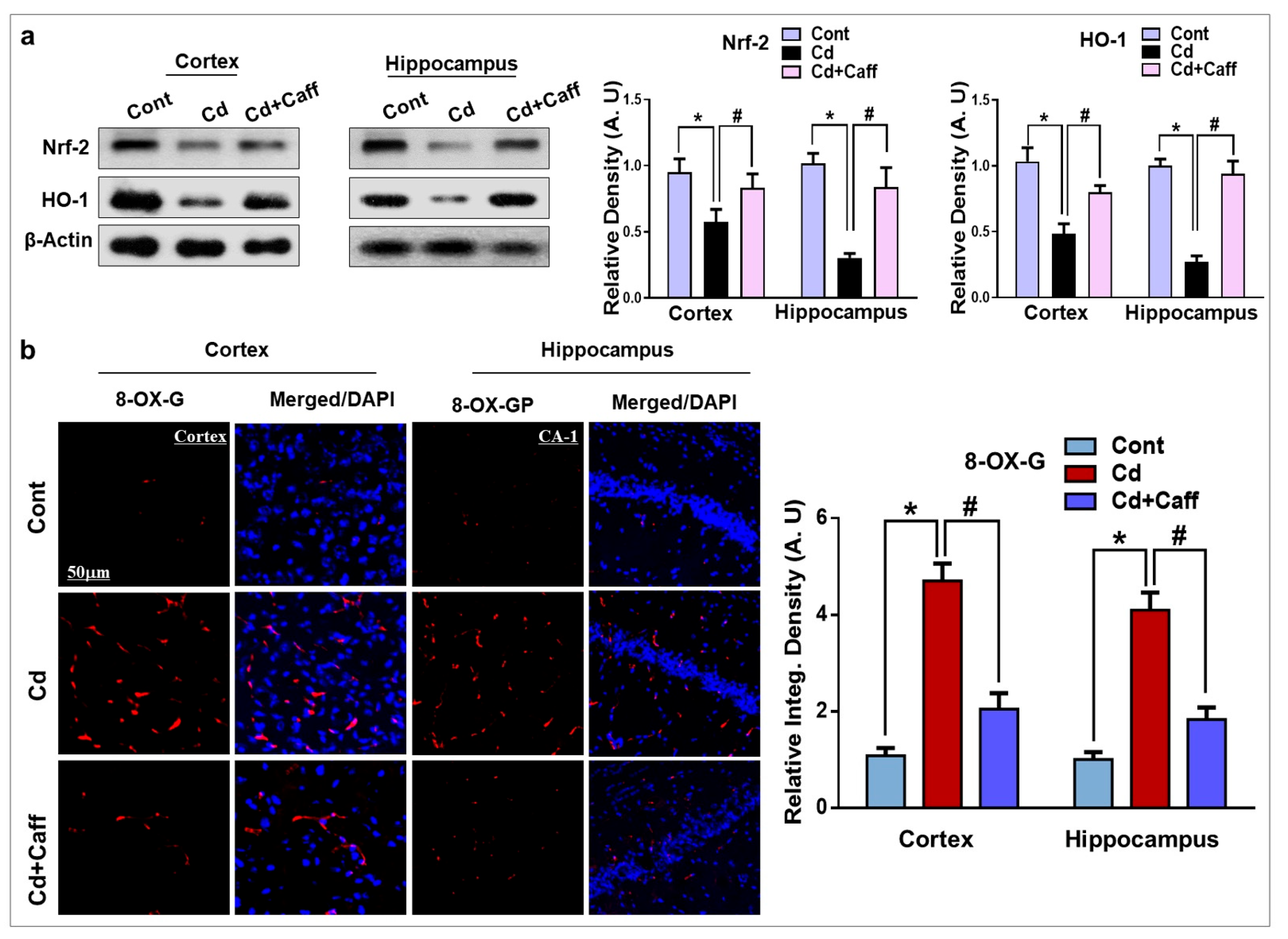 Jcm 14 06426 g003 Jcm 14 06426 g003