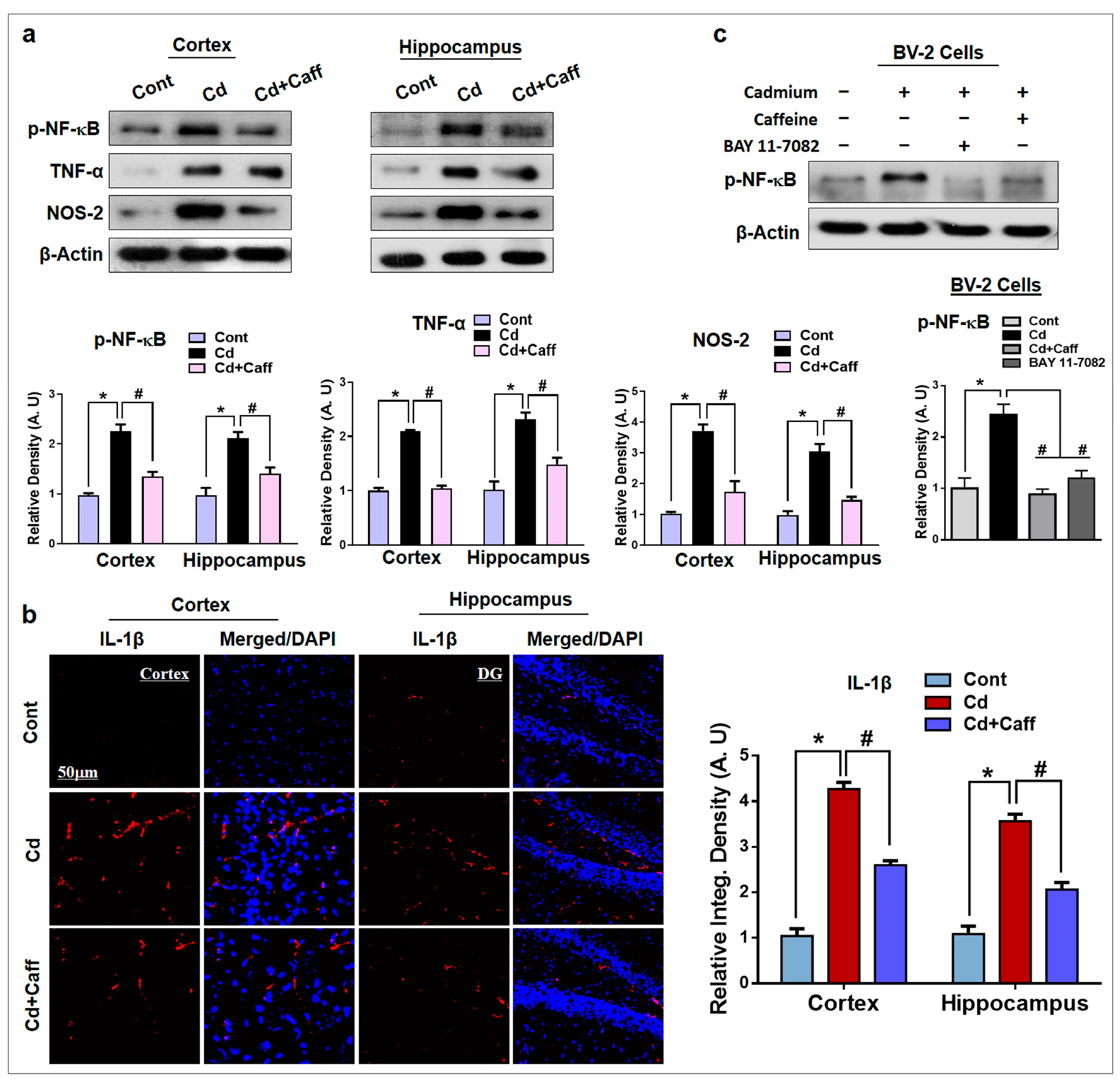 Jcm 14 06426 g006 Jcm 14 06426 g006