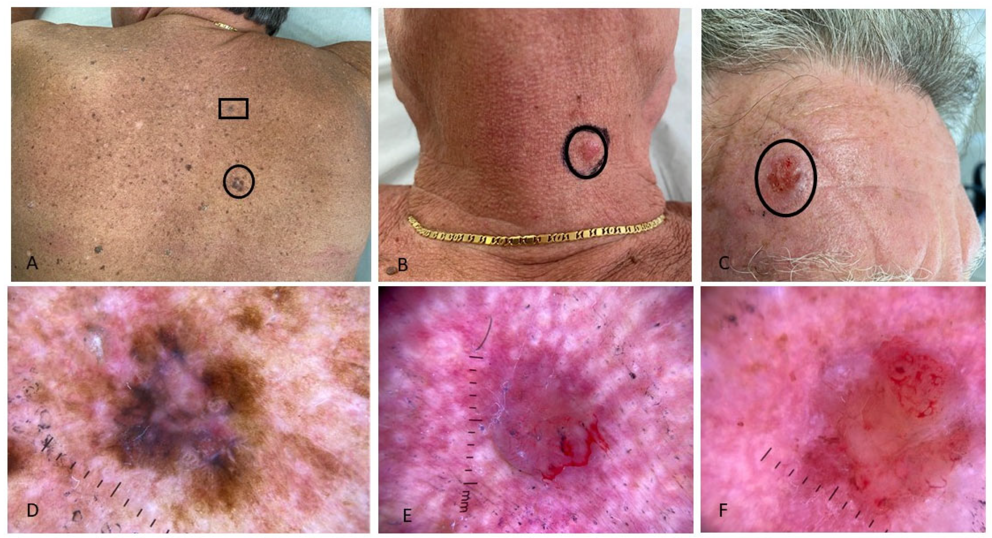 Jcm 14 06447 g001 Jcm 14 06447 g001