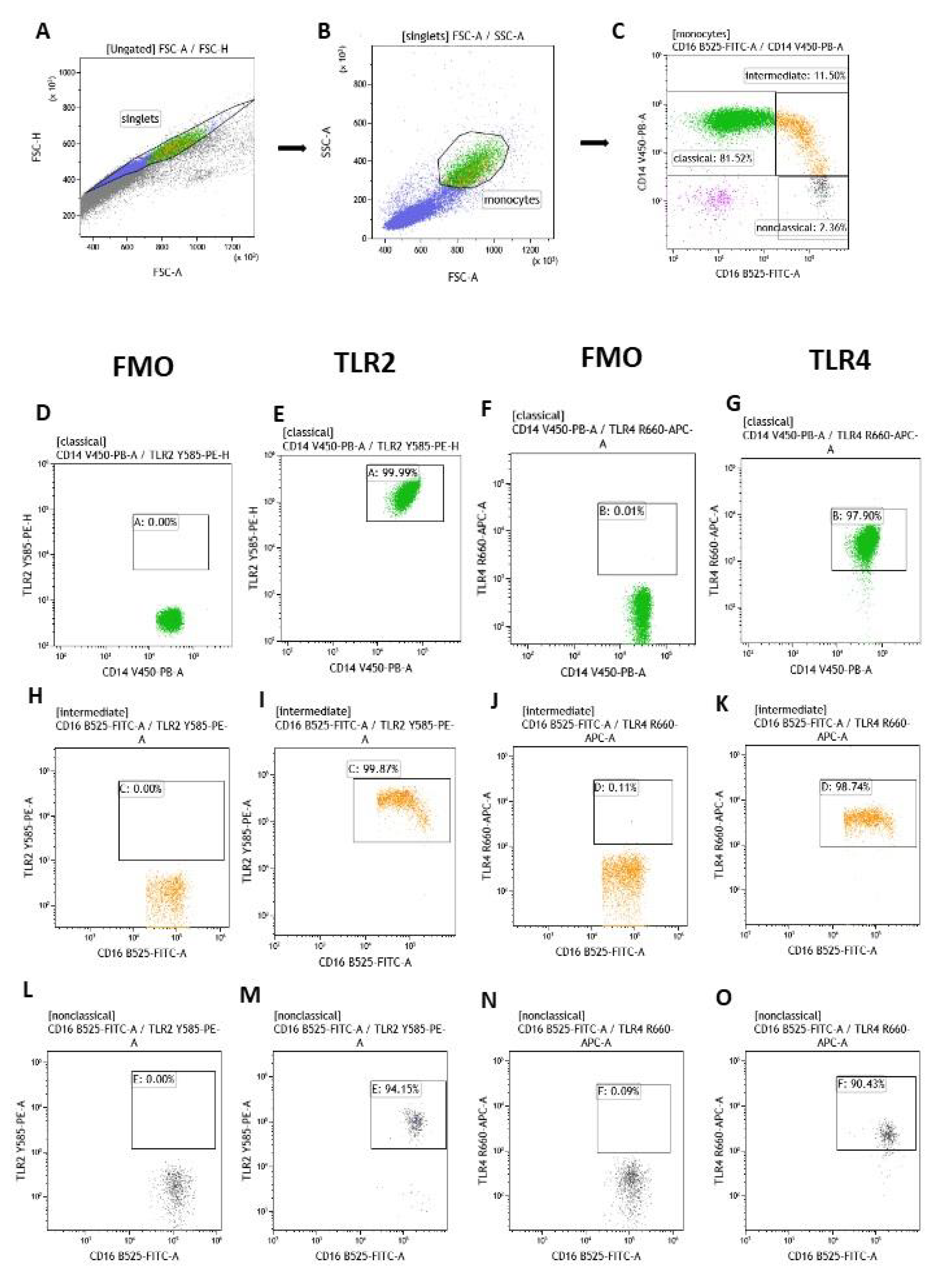 Jcm 14 06449 g001 Jcm 14 06449 g001