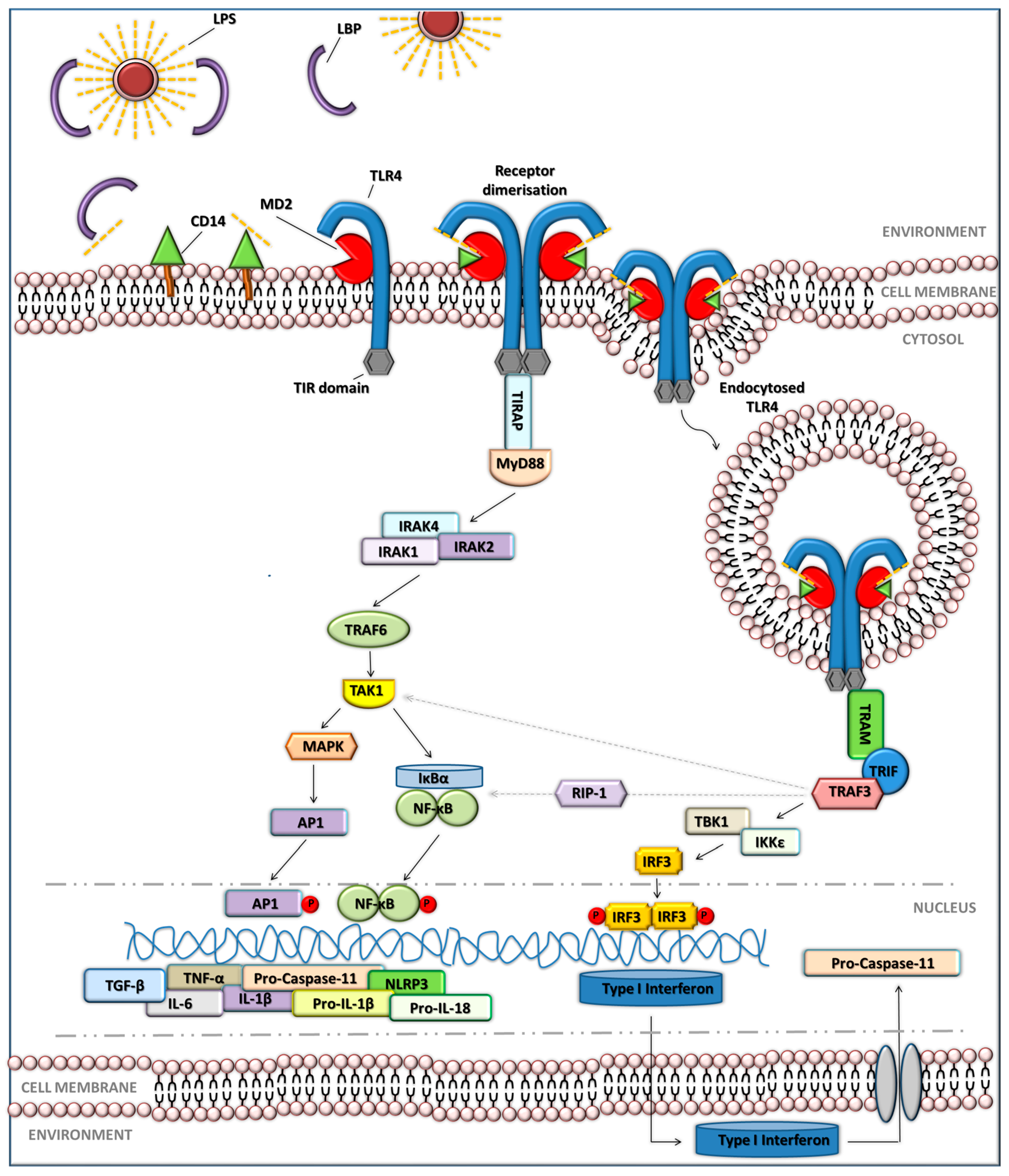 Jcm 14 06478 g002 Jcm 14 06478 g002