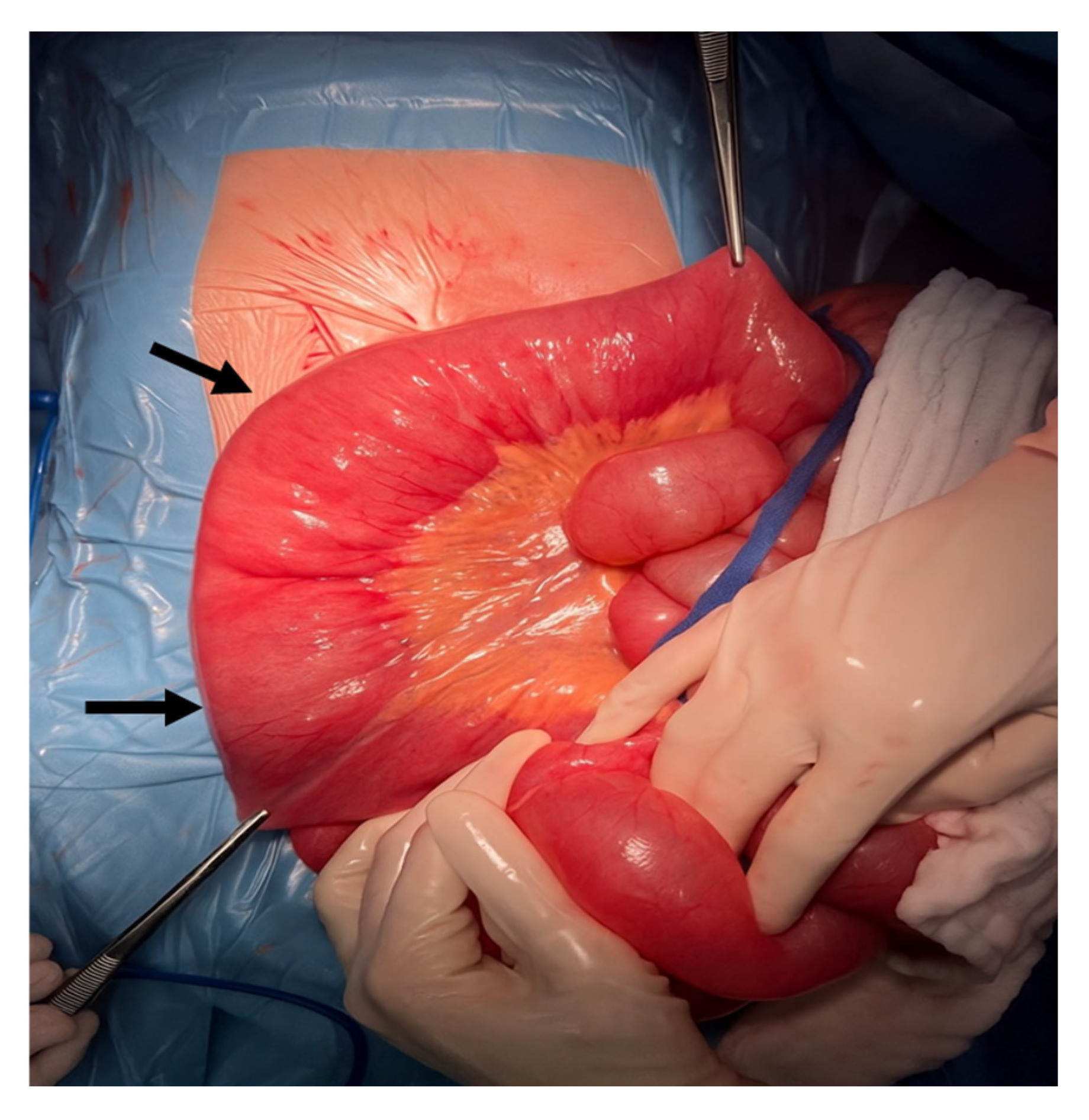 Jcm 14 06479 g003 Jcm 14 06479 g003