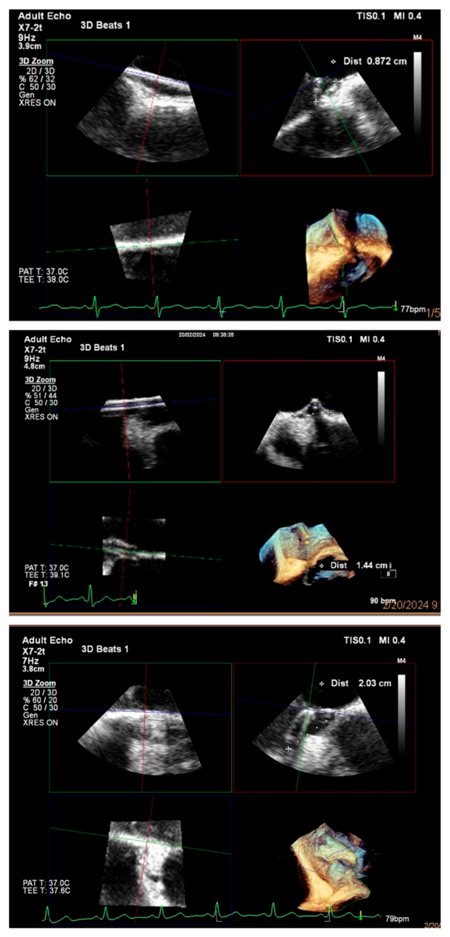 Jcm 14 06483 g001