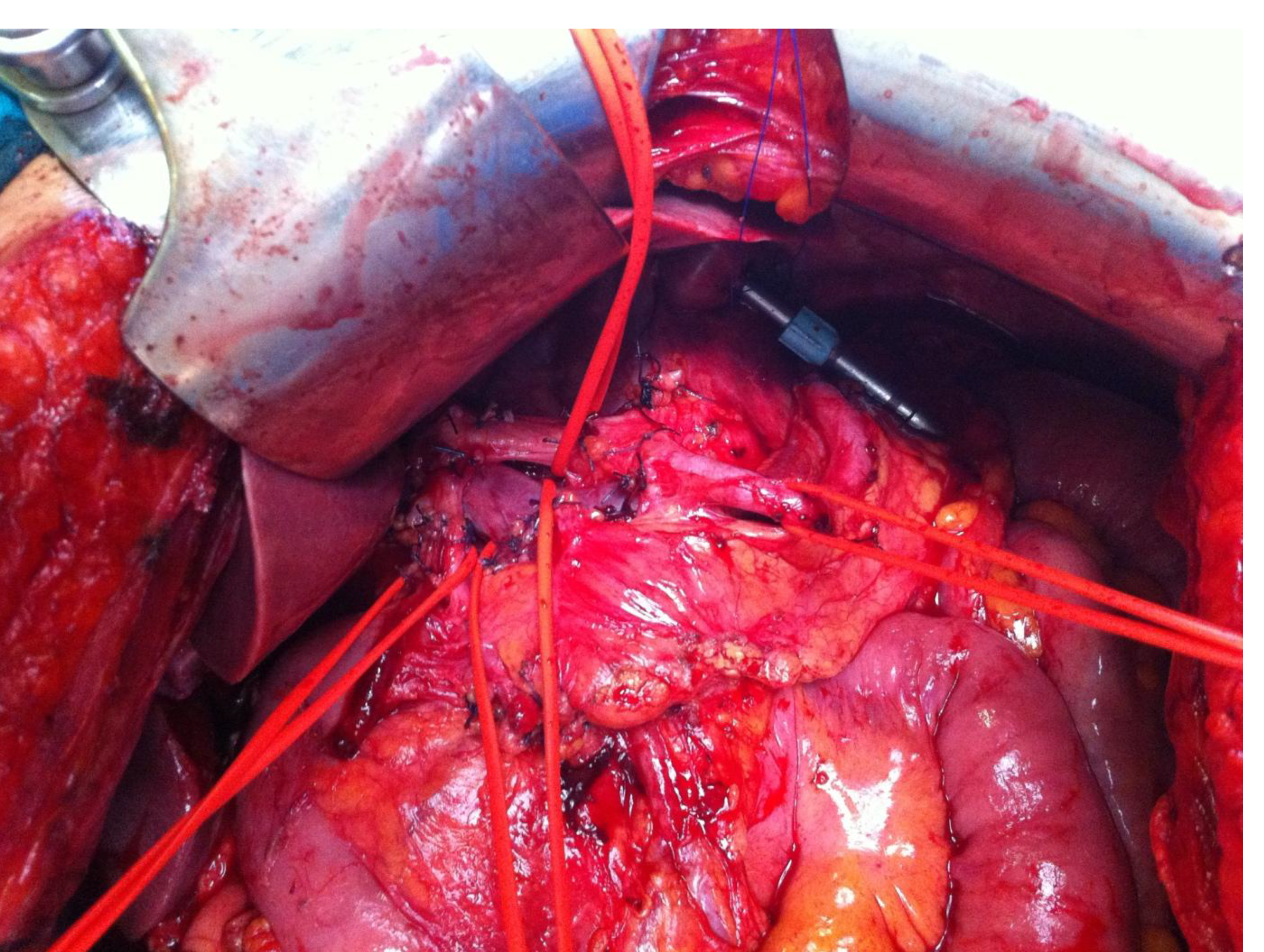 Jcm 14 06518 g005 Jcm 14 06518 g005