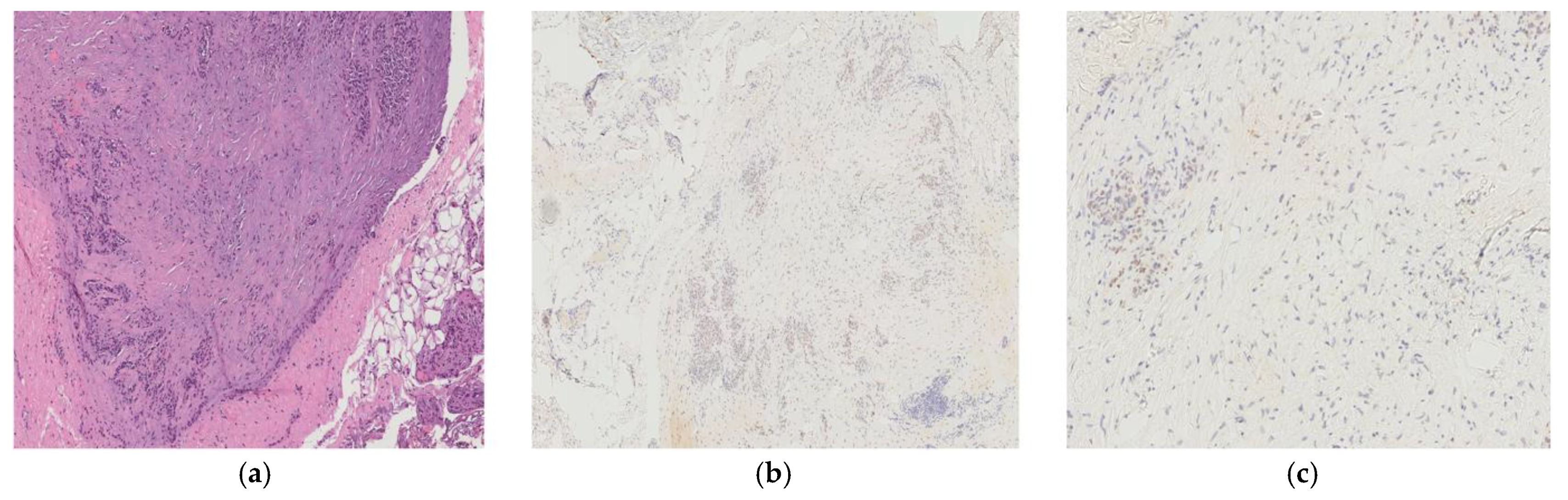 Jcm 14 06518 g006 Jcm 14 06518 g006