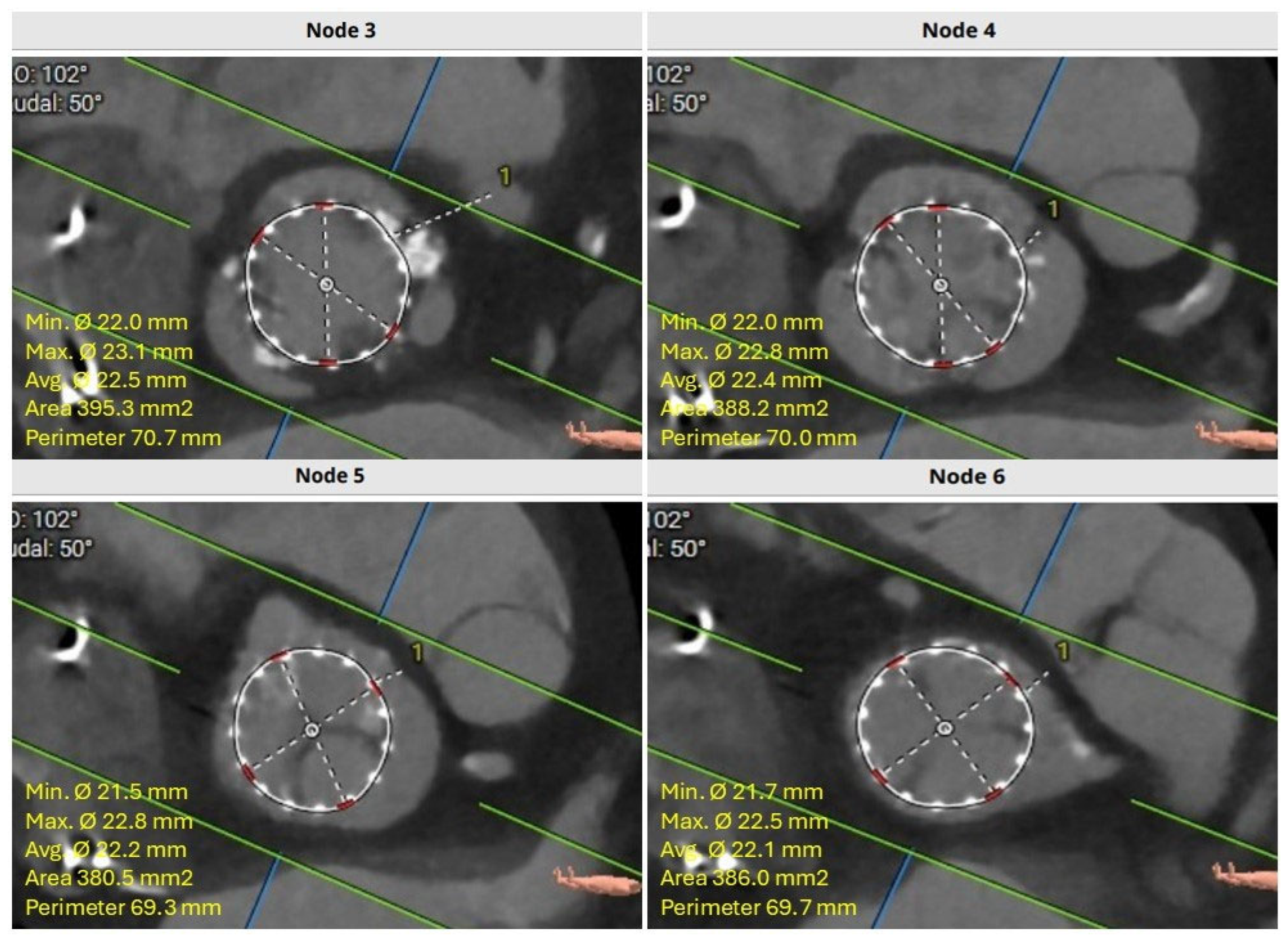 Jcm 14 06608 g003 Jcm 14 06608 g003
