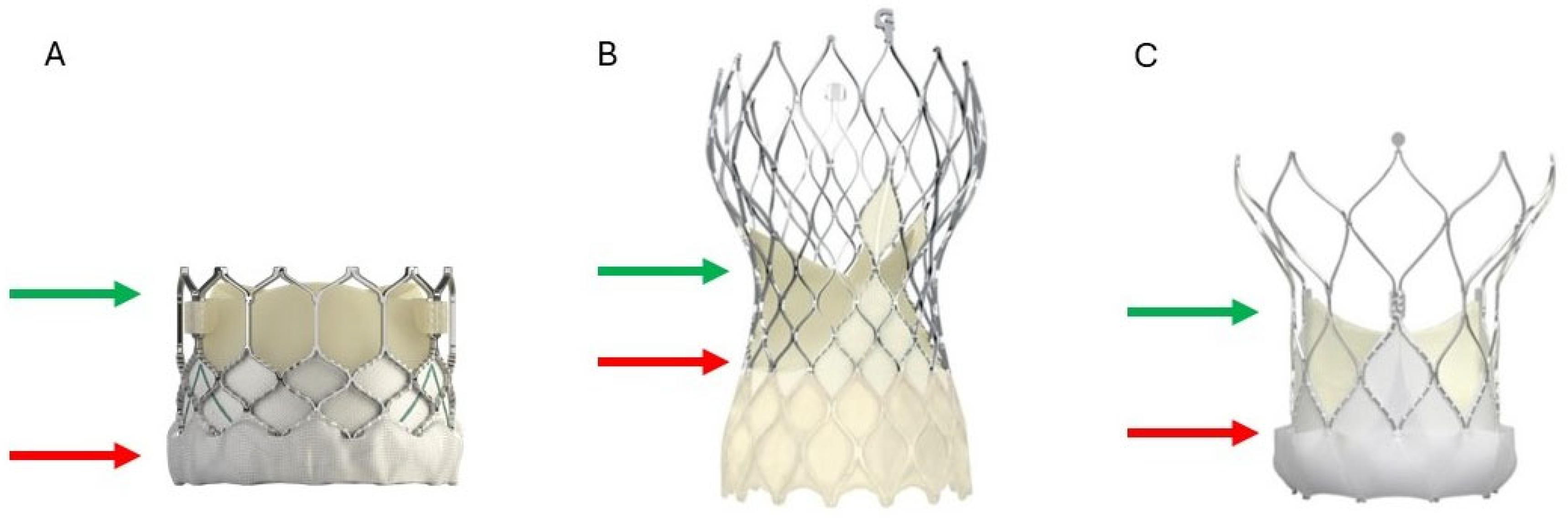 Jcm 14 06608 g005 Jcm 14 06608 g005