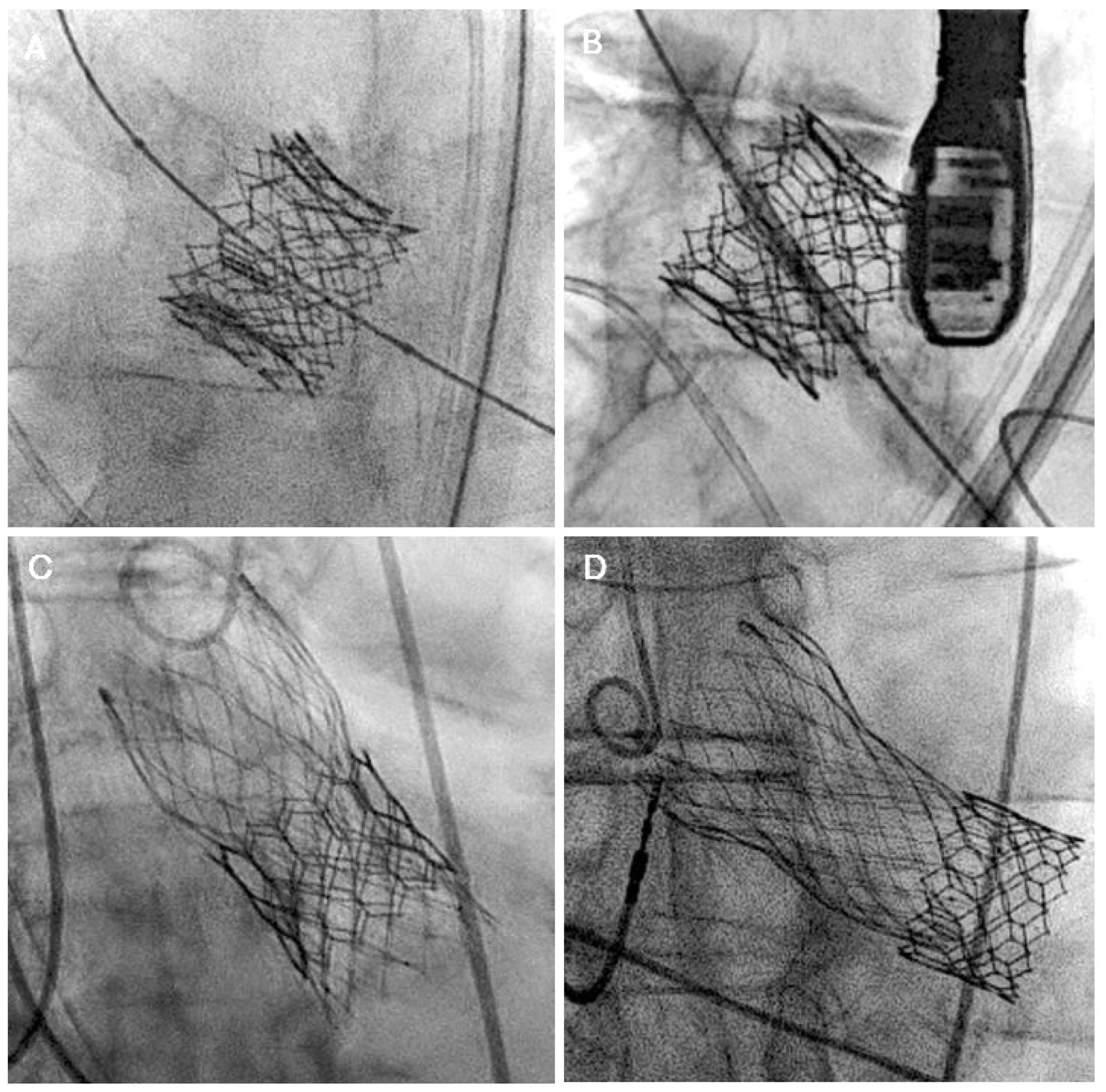 Jcm 14 06608 g007 Jcm 14 06608 g007