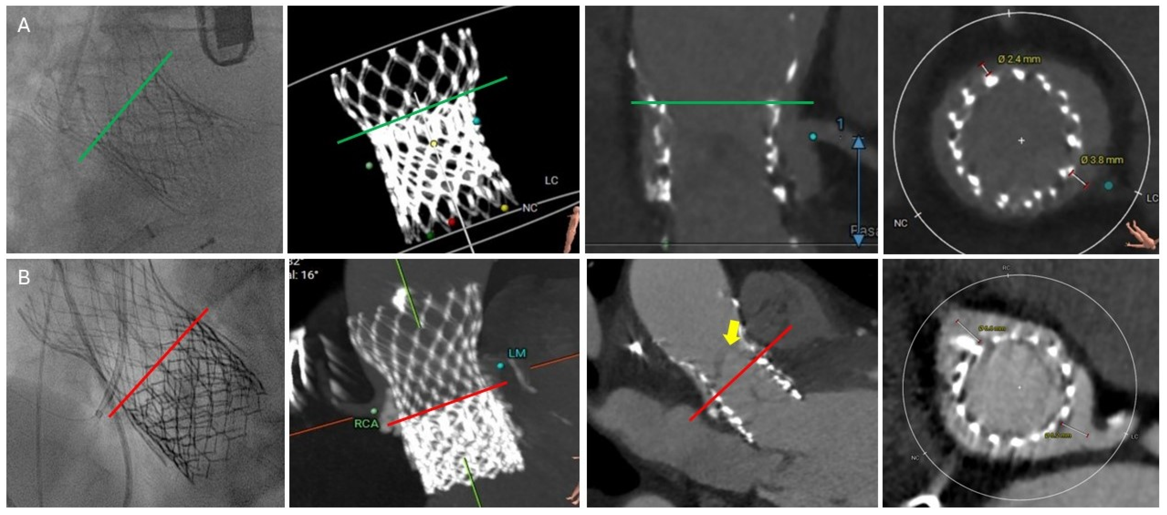 Jcm 14 06608 g008 Jcm 14 06608 g008