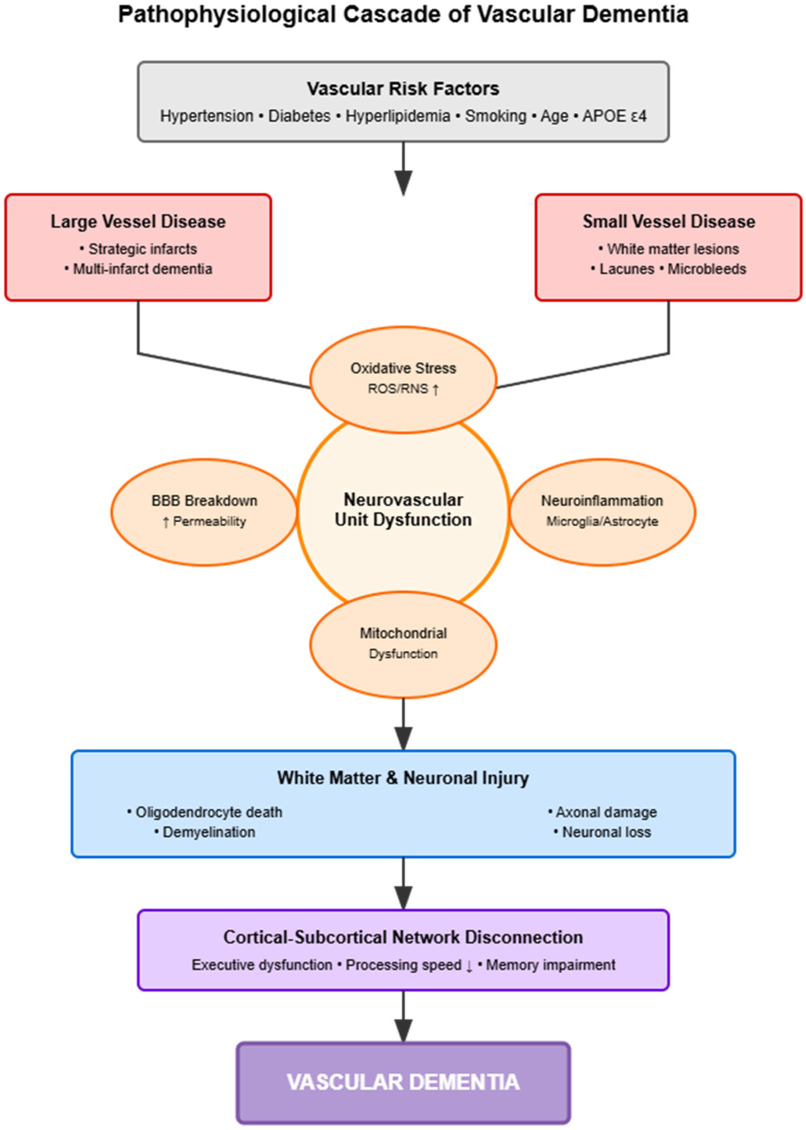 Jcm 14 06611 g001 Jcm 14 06611 g001