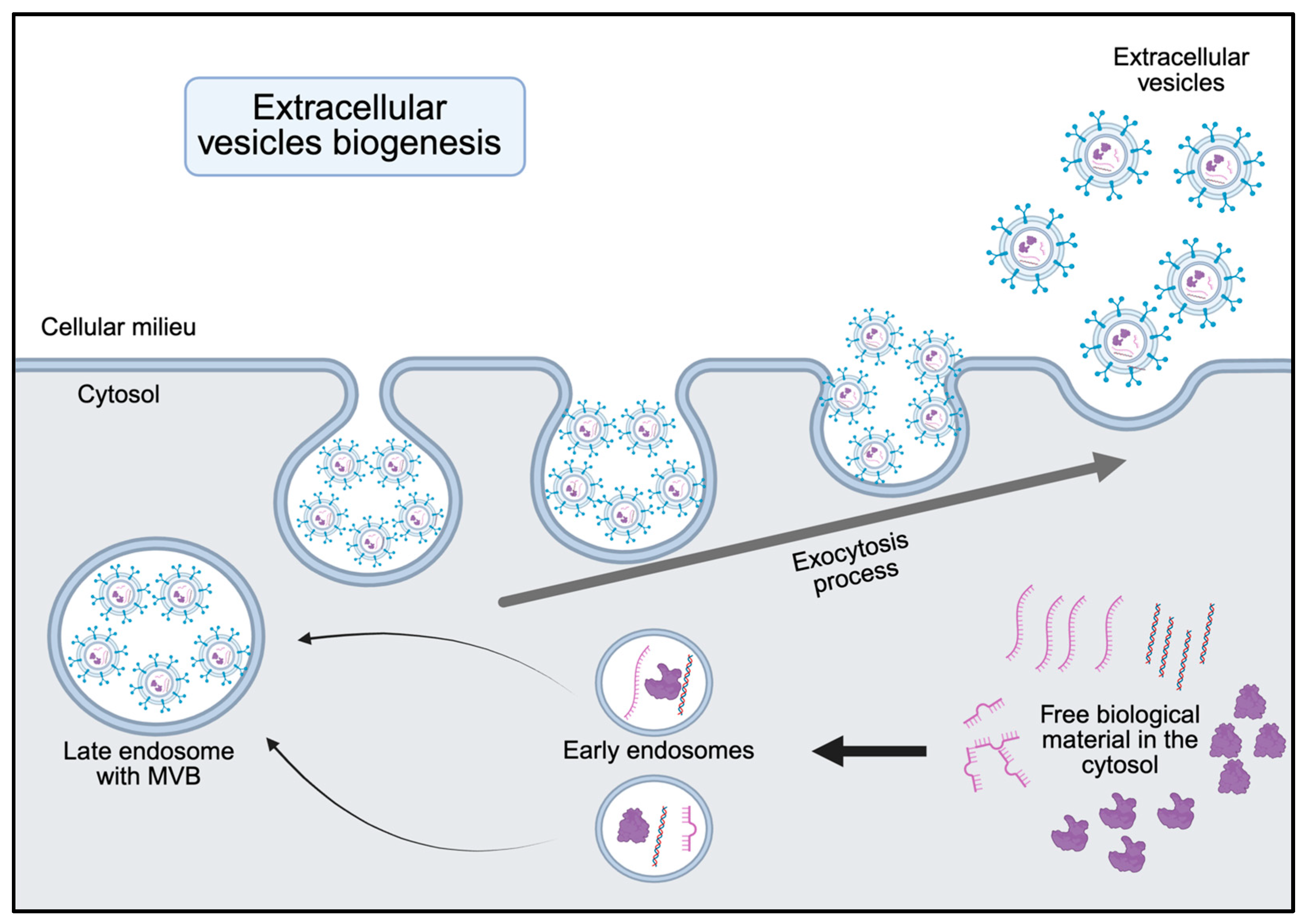 Jcm 14 06649 g001 Jcm 14 06649 g001