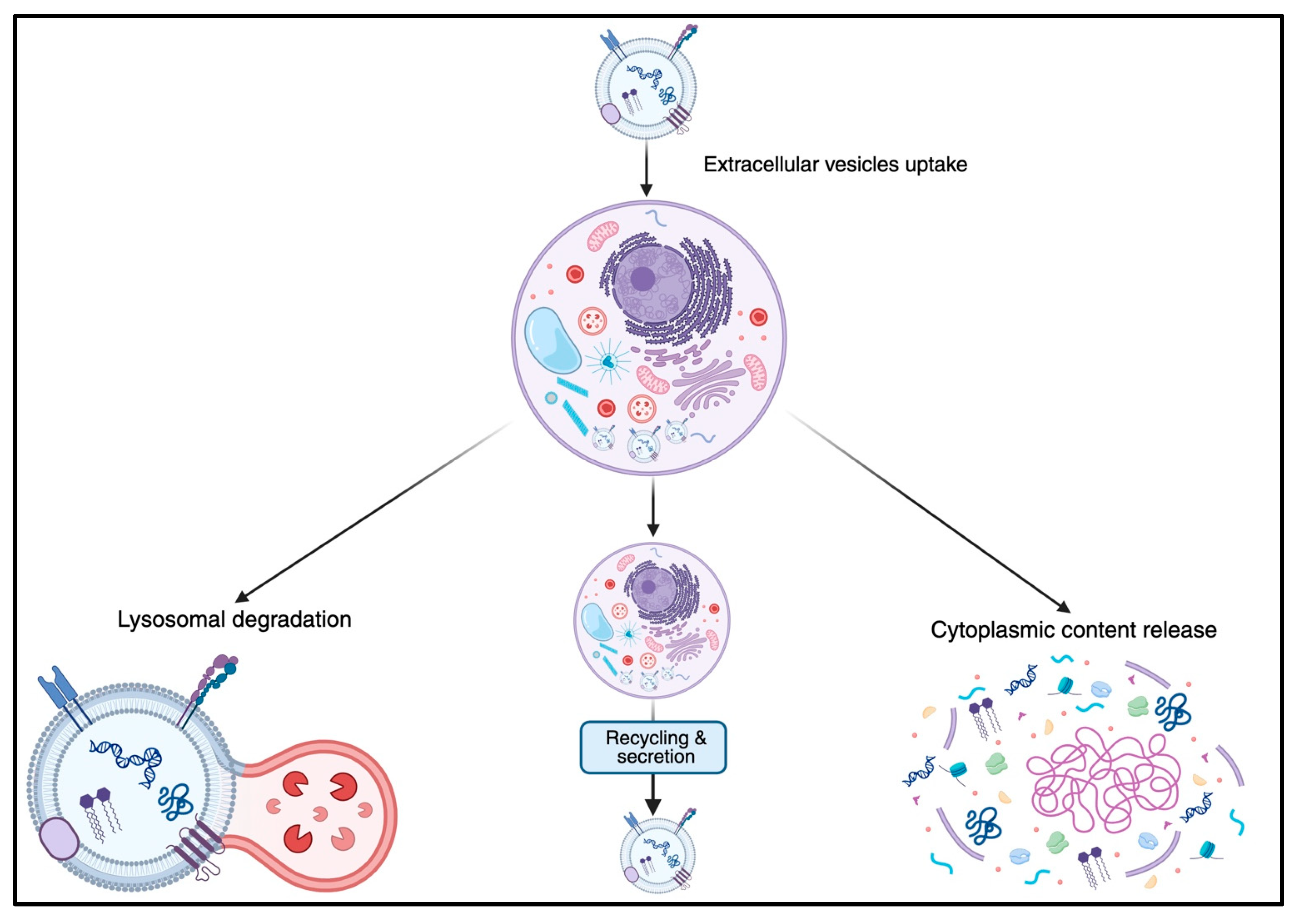Jcm 14 06649 g002 Jcm 14 06649 g002