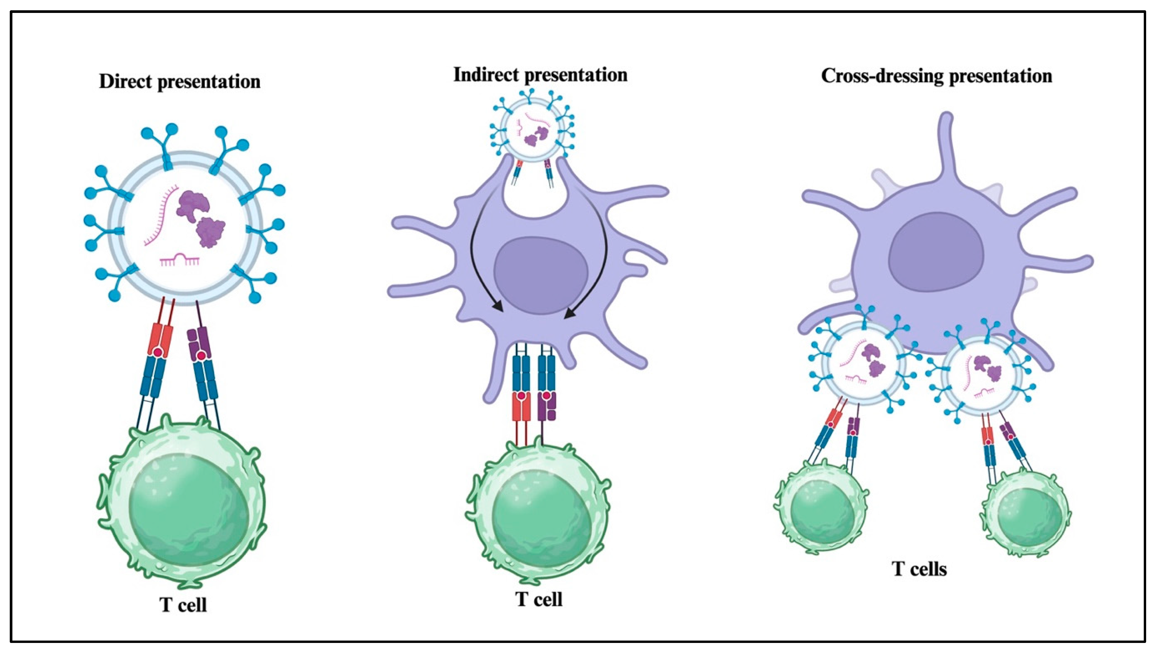 Jcm 14 06649 g003 Jcm 14 06649 g003