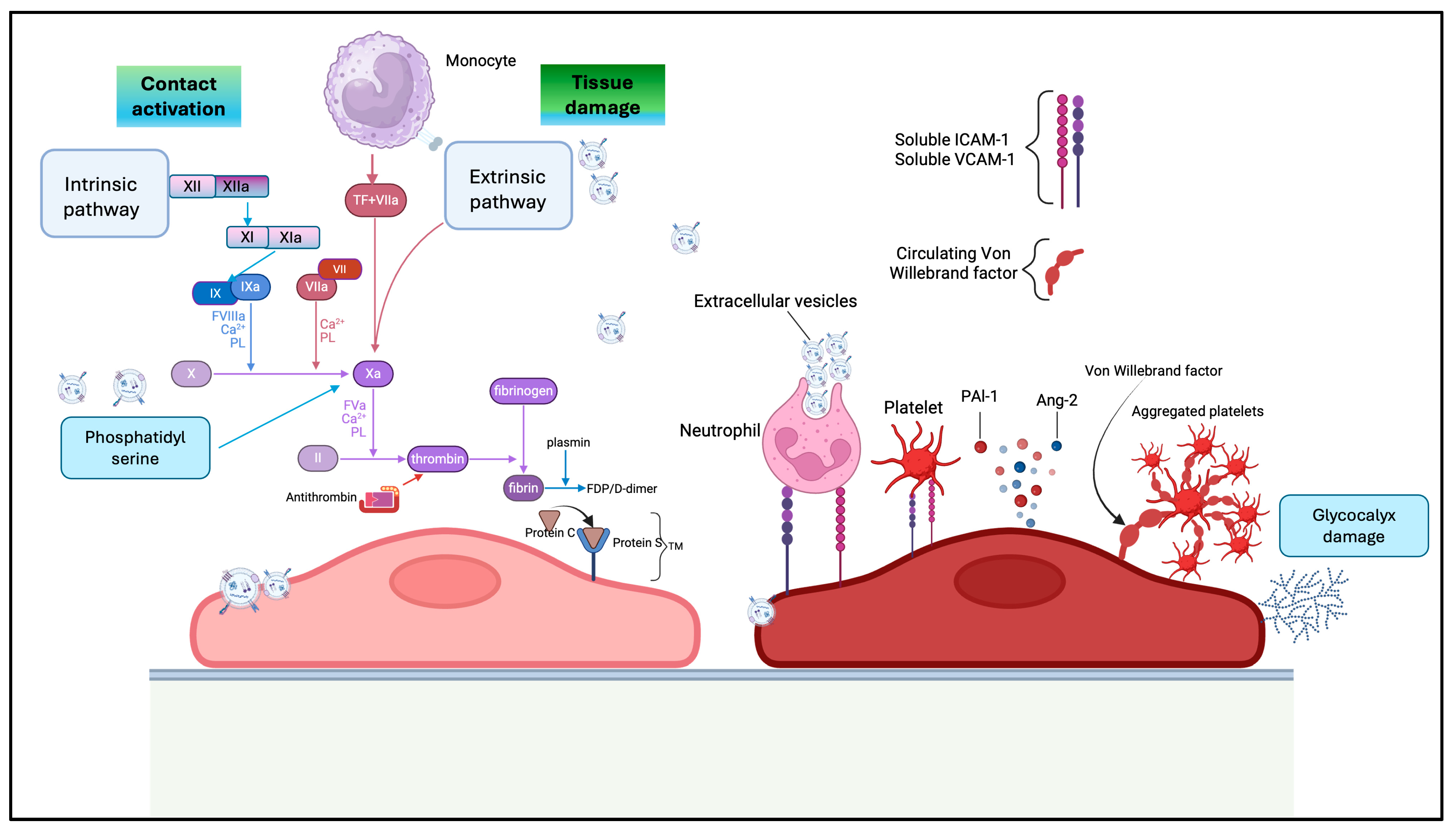 Jcm 14 06649 g004 Jcm 14 06649 g004