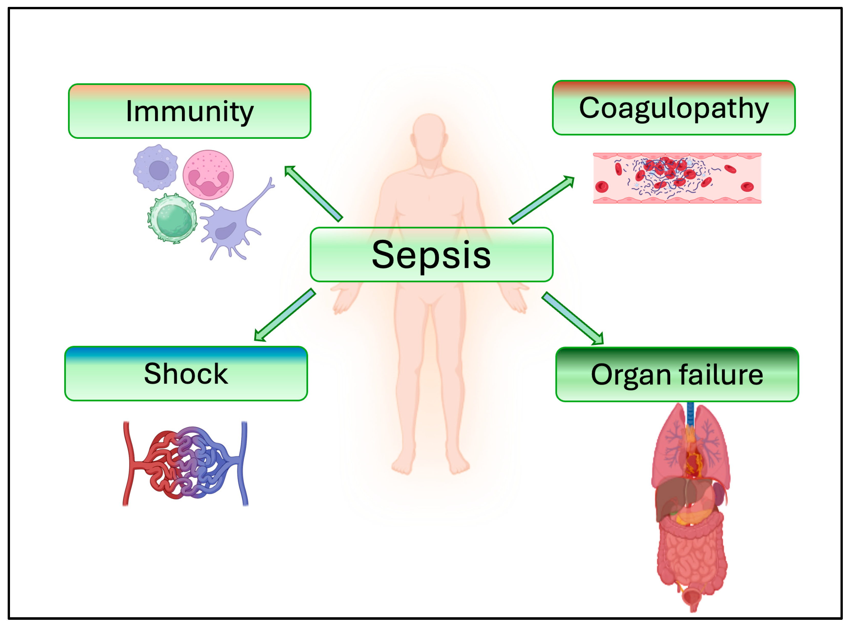 Jcm 14 06649 g006 Jcm 14 06649 g006
