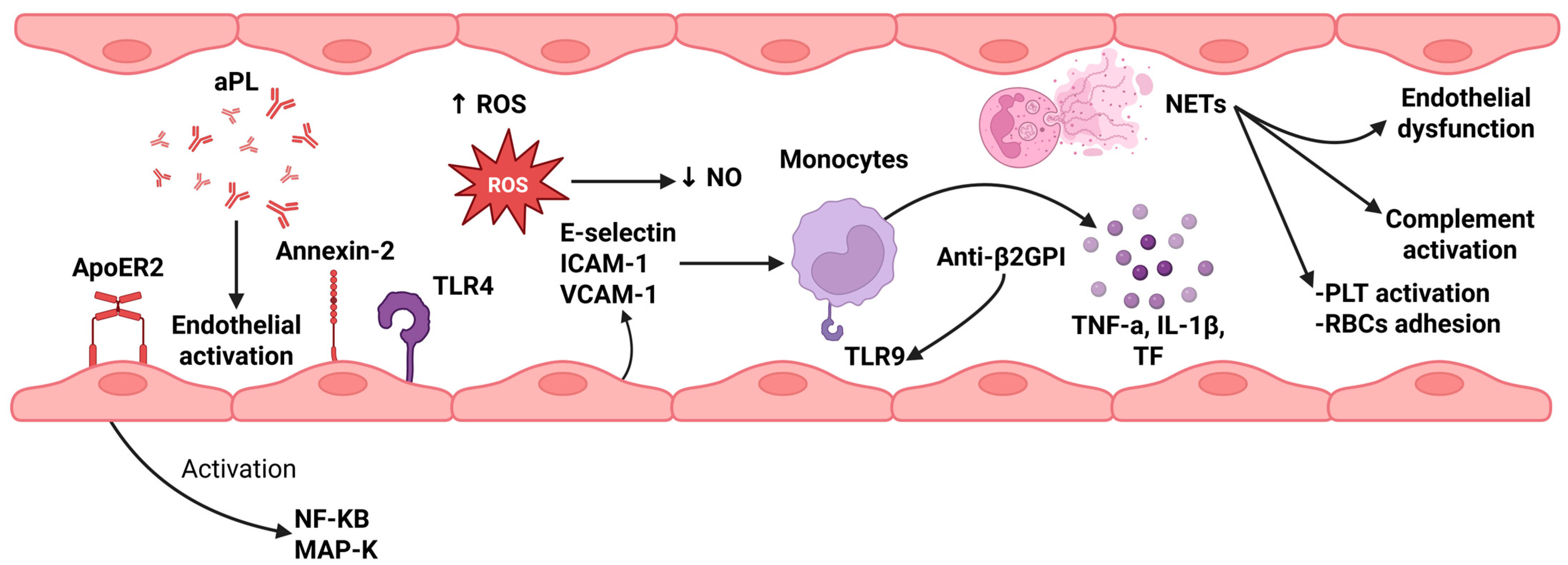 Jcm 14 06672 g001 Jcm 14 06672 g001