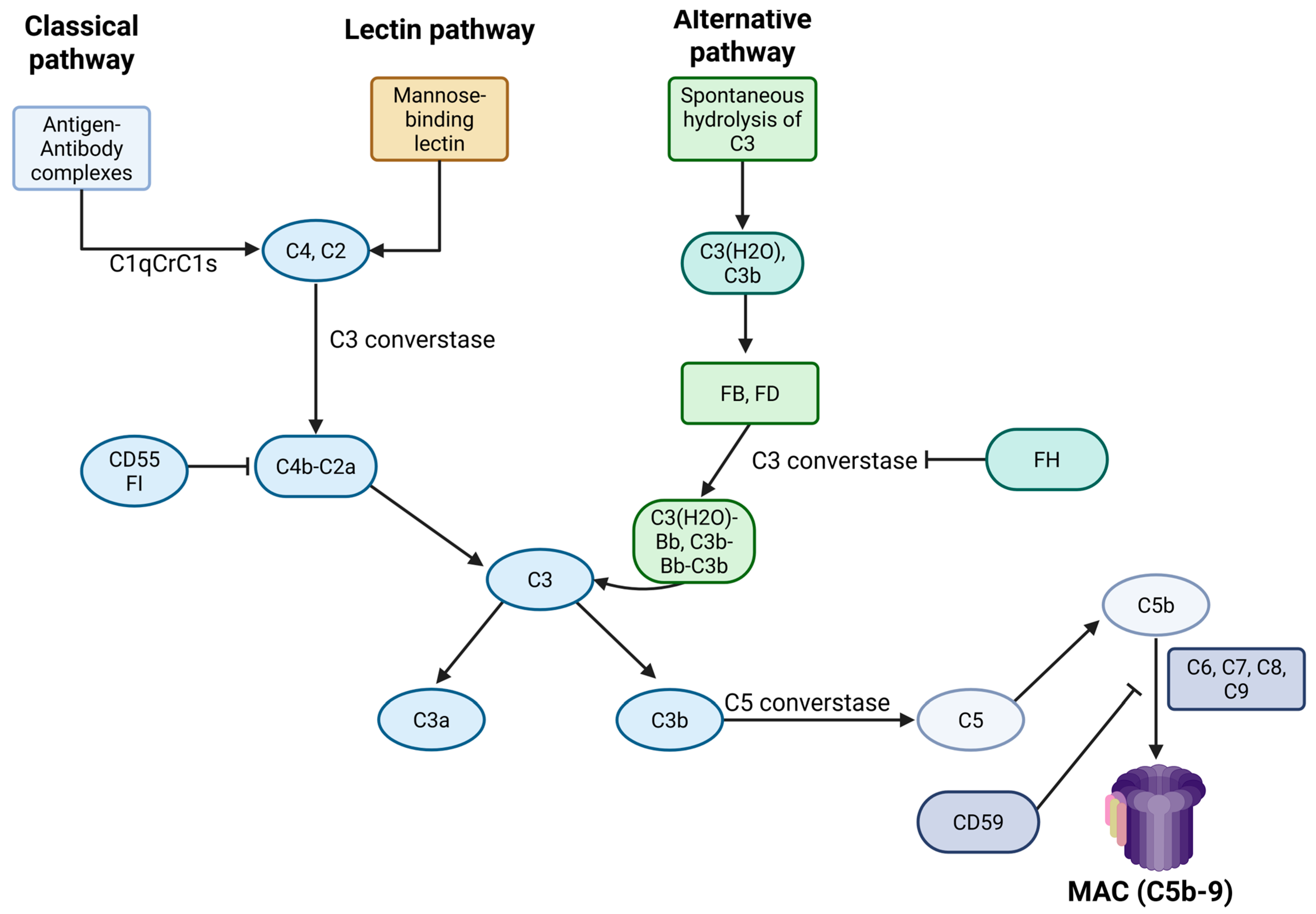 Jcm 14 06672 g002 Jcm 14 06672 g002