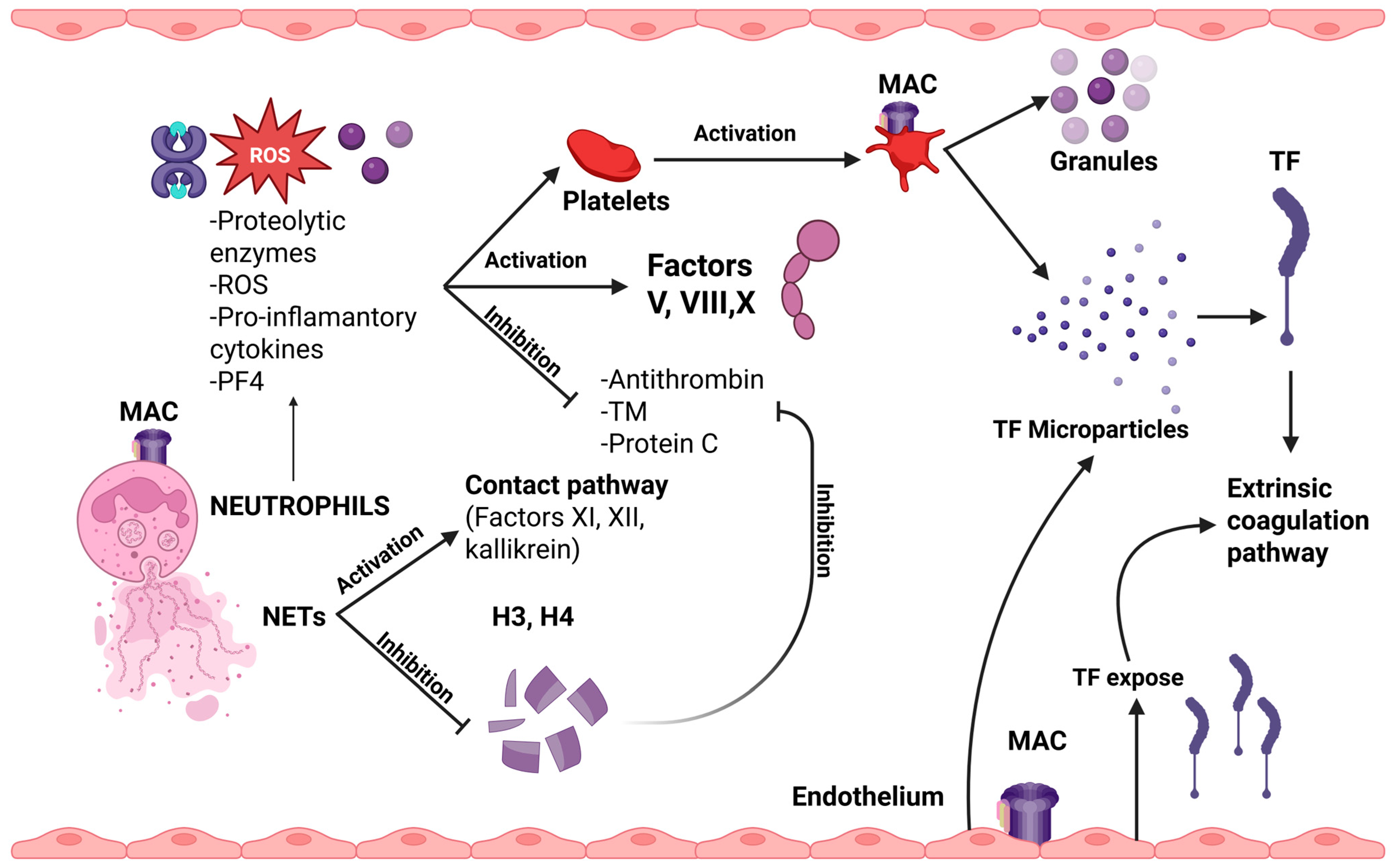 Jcm 14 06672 g003 Jcm 14 06672 g003