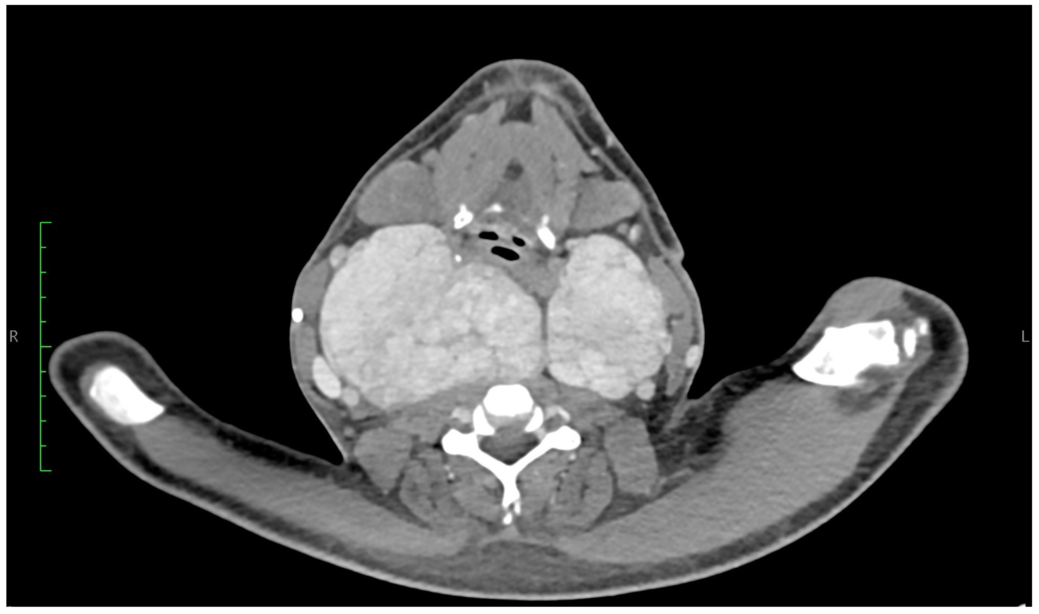 Jcm 14 06741 g001 Jcm 14 06741 g001