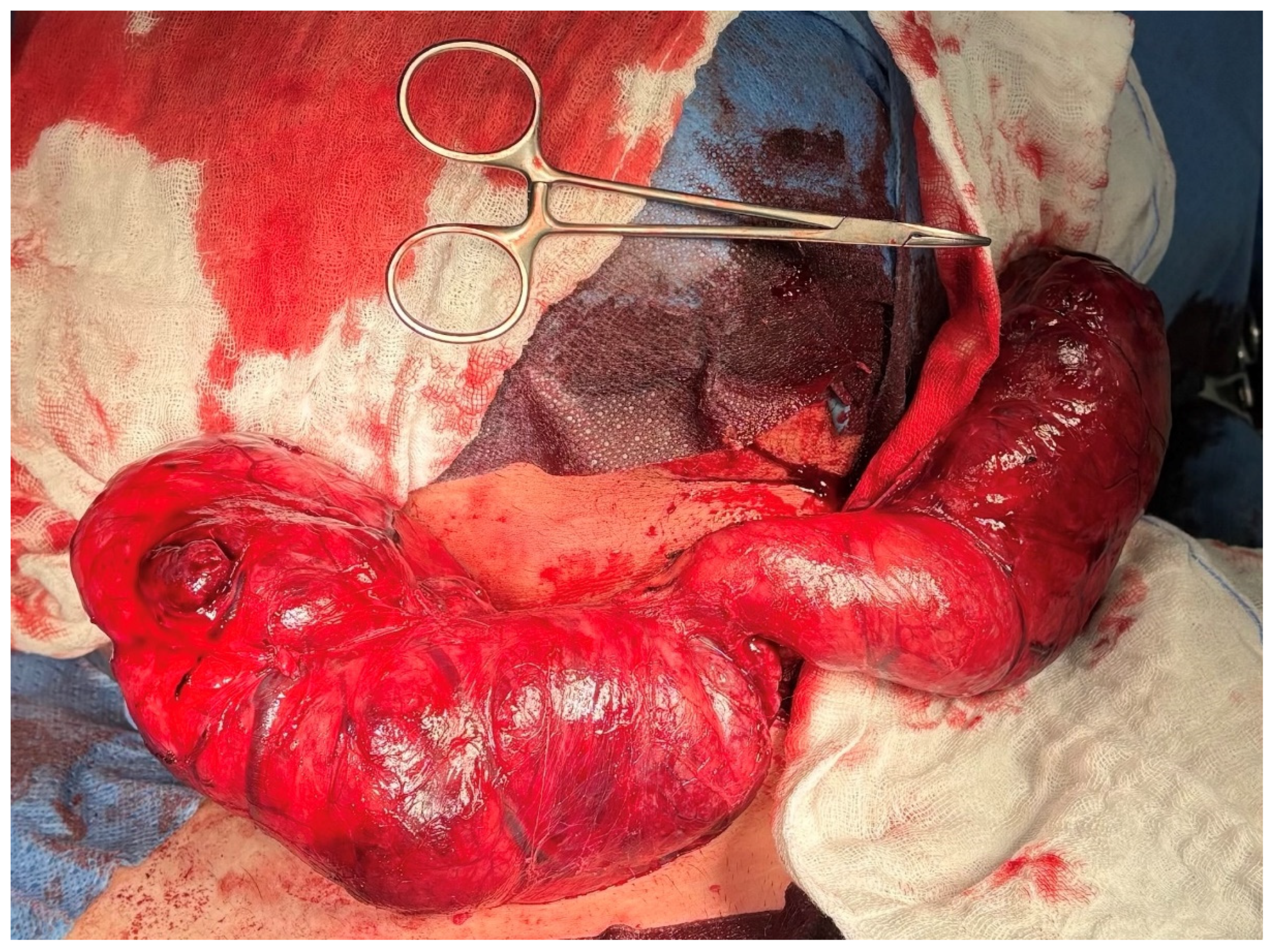 Jcm 14 06741 g003 Jcm 14 06741 g003