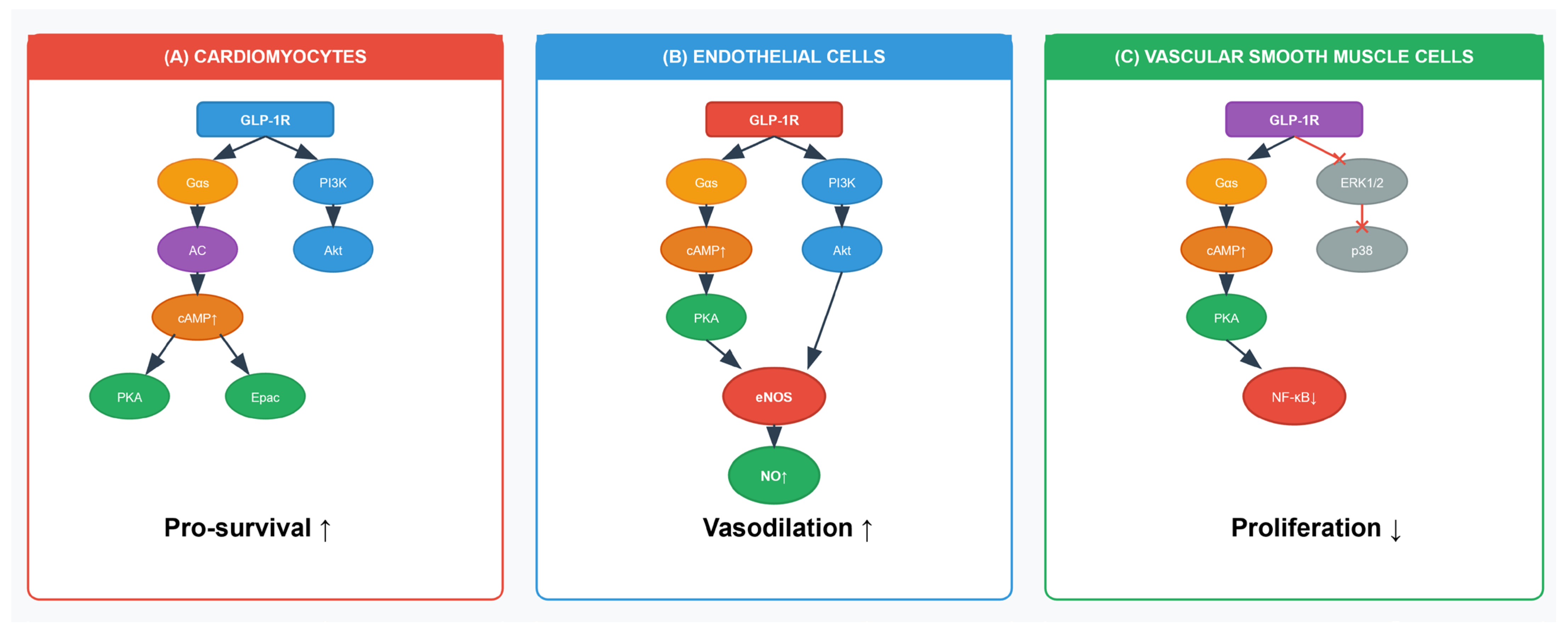Jcm 14 06758 g002 Jcm 14 06758 g002