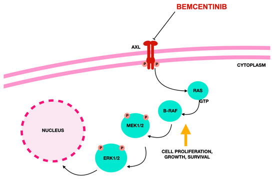 専用 ② 楽天市場】ウエイトハンマー 鉄製 | 日本製 工具 バランス調整