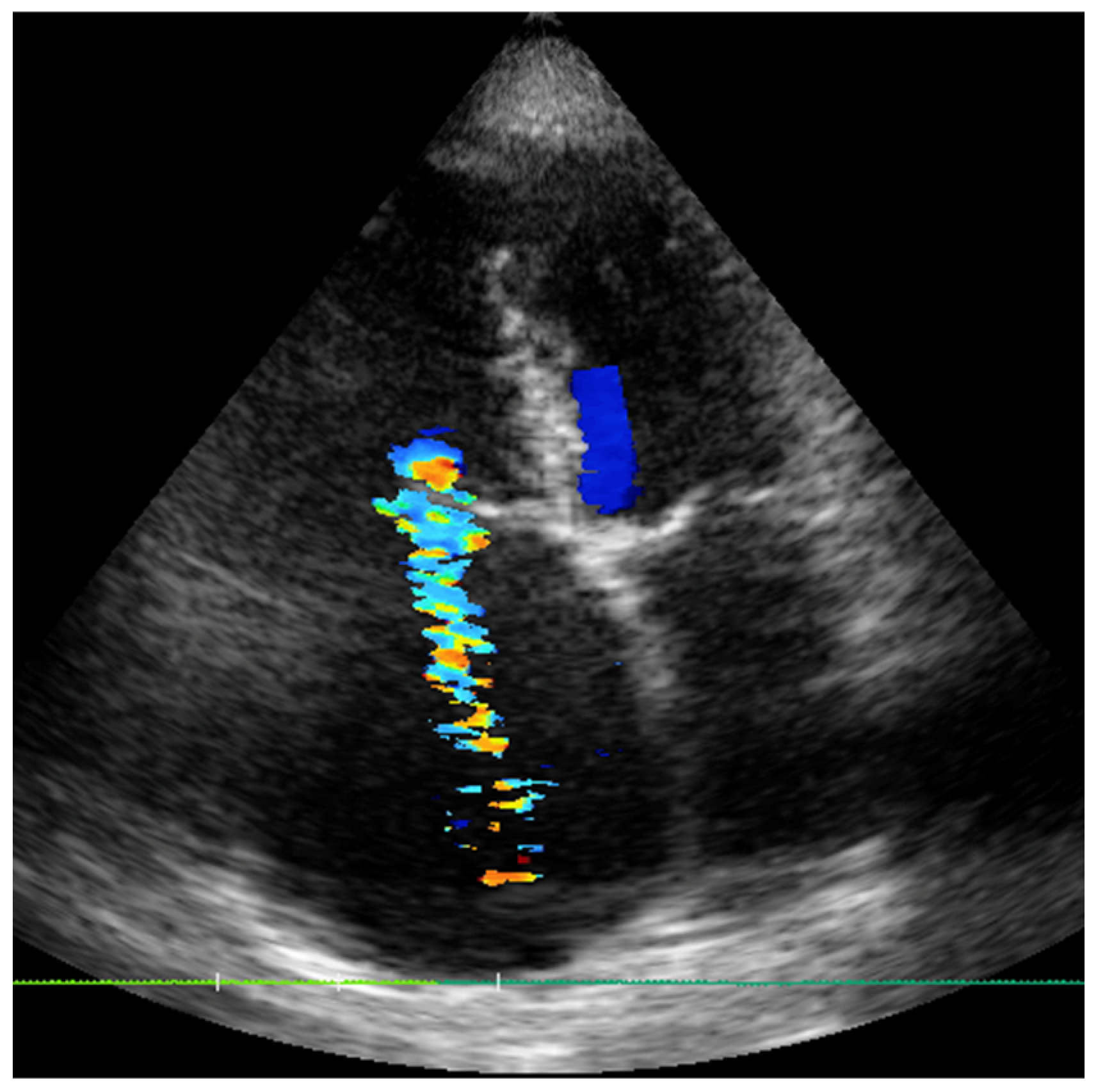 Jcm 14 06878 g001 Jcm 14 06878 g001