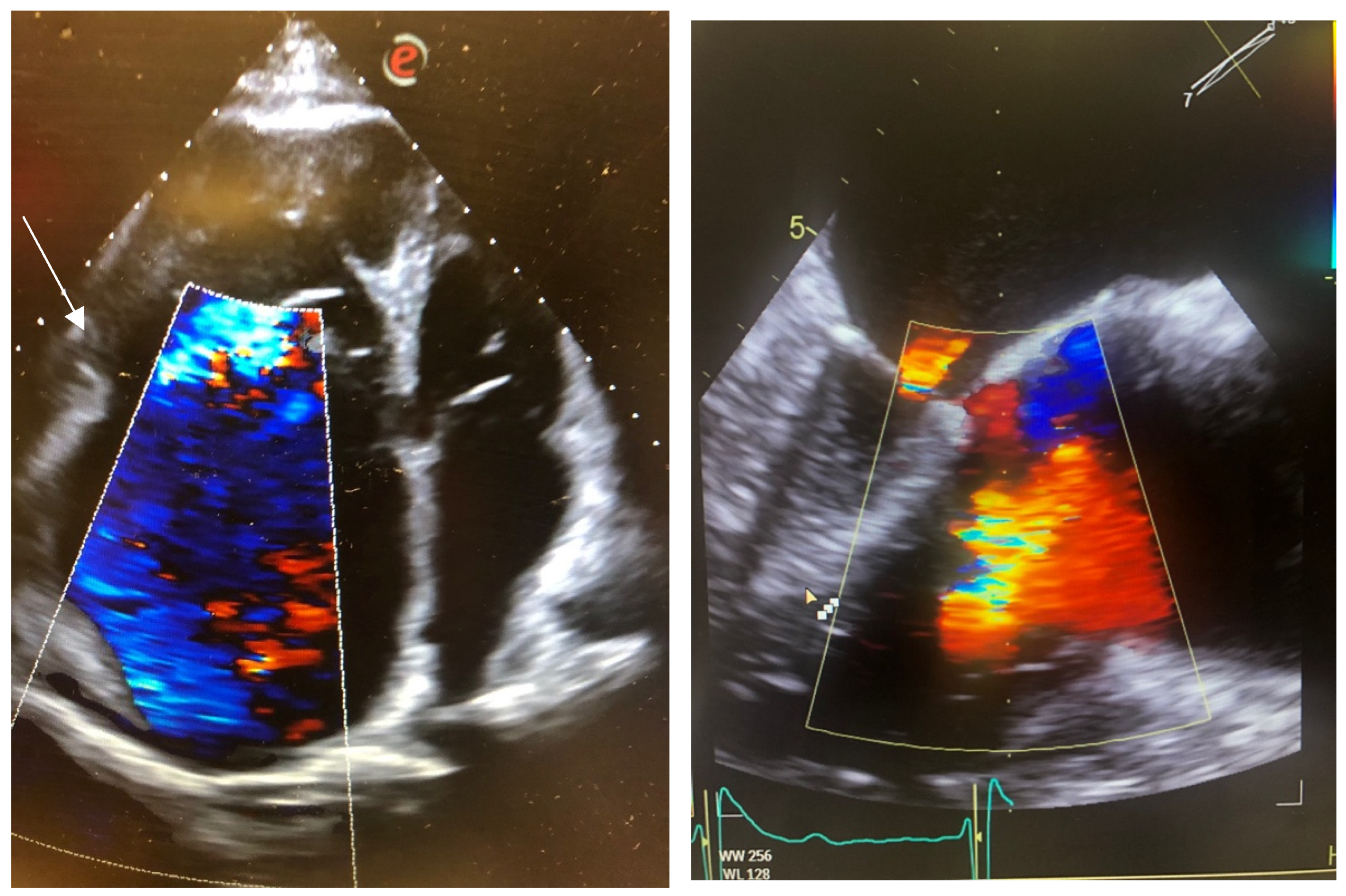 Jcm 14 06878 g002 Jcm 14 06878 g002