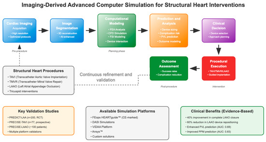 Cardiovascular System Scope Algorithm Advanced Computer Simulation Based on Cardiac Imaging in Planning of ...