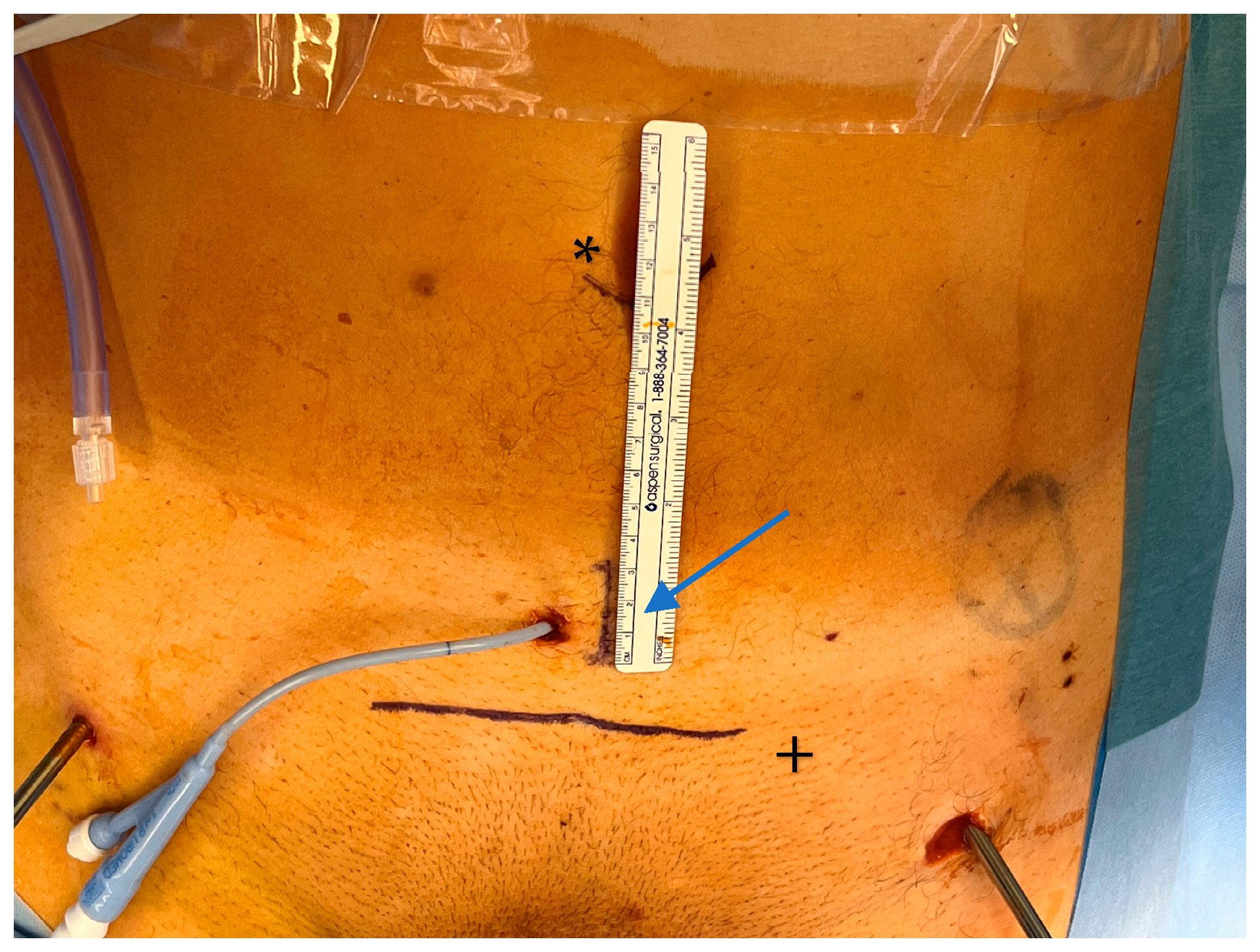 Jcm 14 06920 g002 Jcm 14 06920 g002