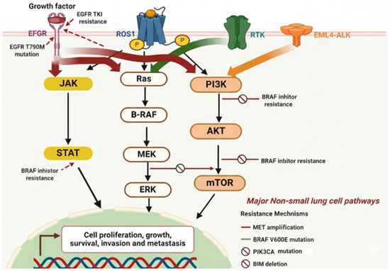Ｋ 2021-Kawasaki-ZX636-