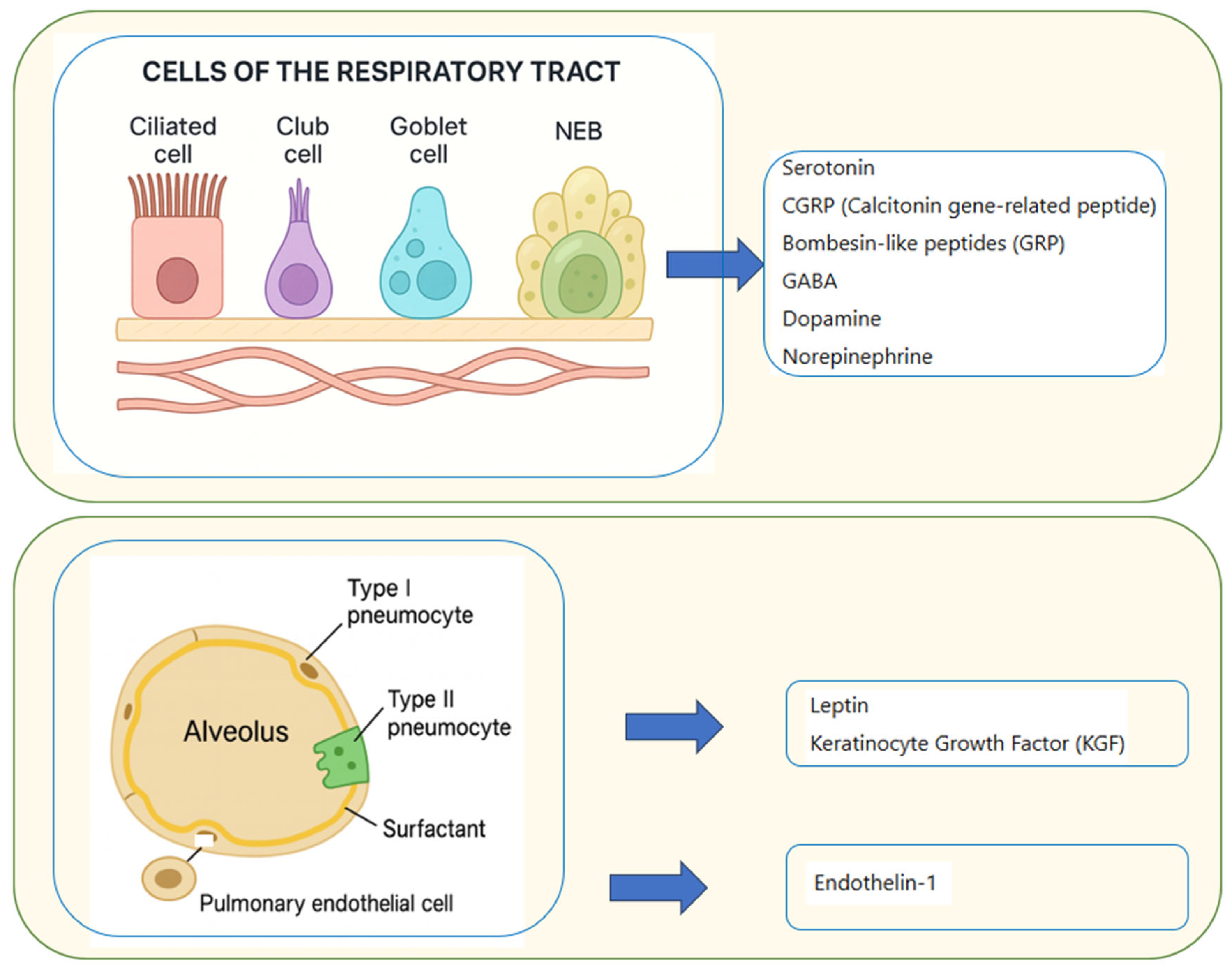 Jcm 14 06985 g003 Jcm 14 06985 g003