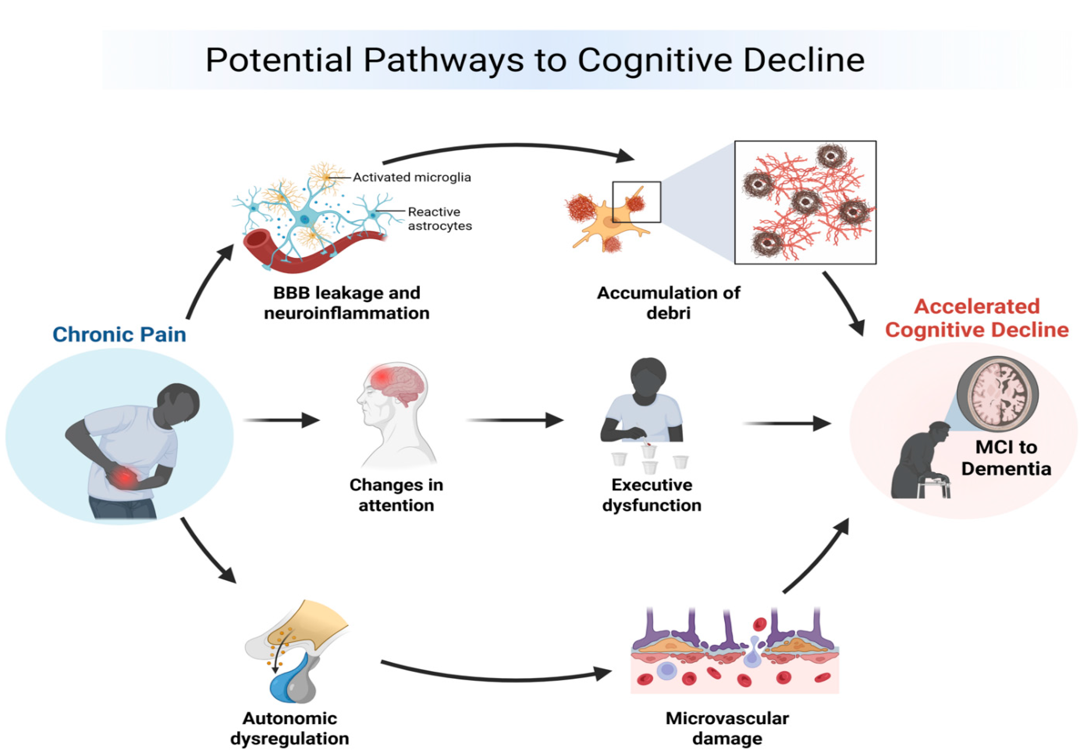 Jcm 14 07030 g002 Jcm 14 07030 g002