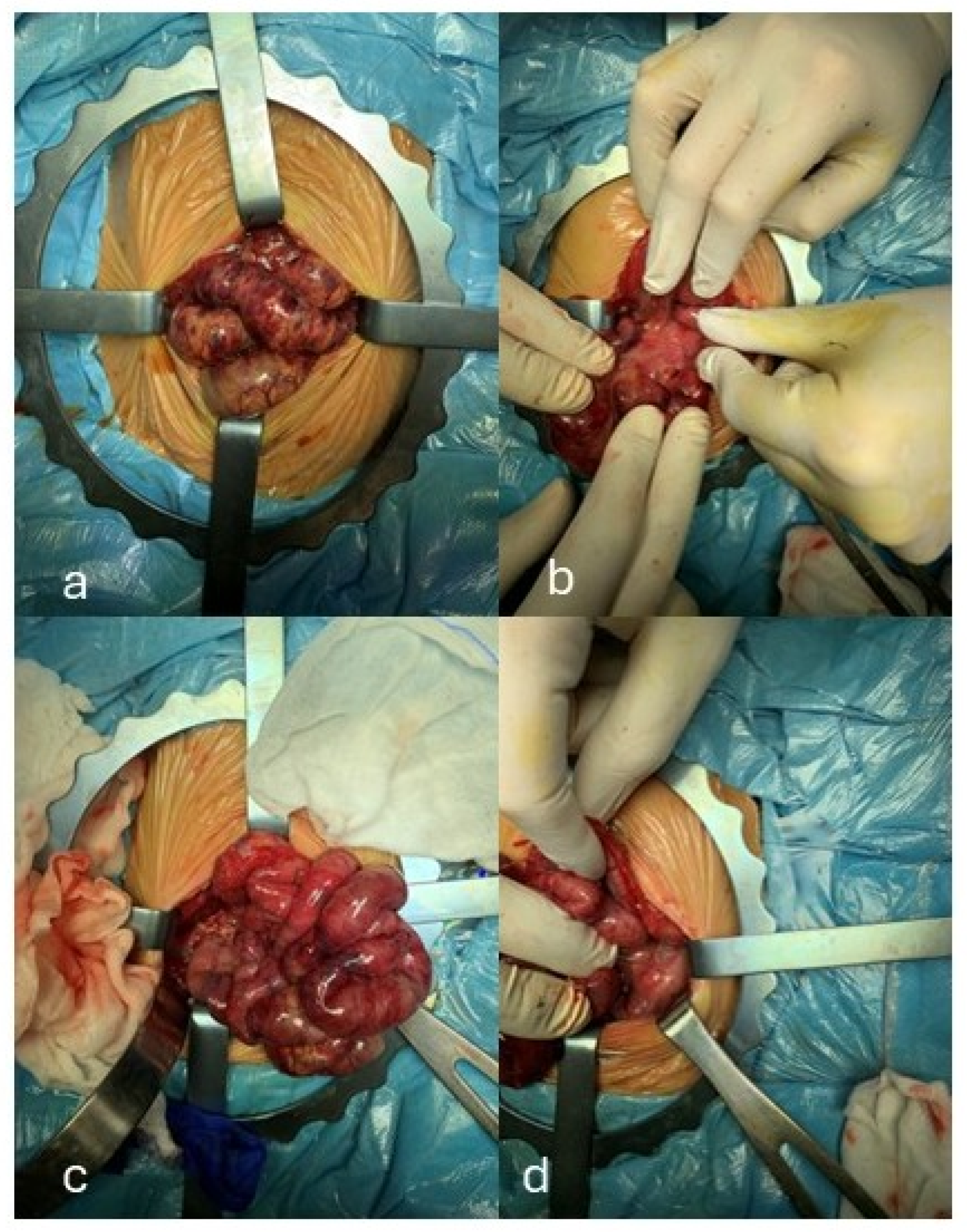 Jcm 14 07055 g002 Jcm 14 07055 g002