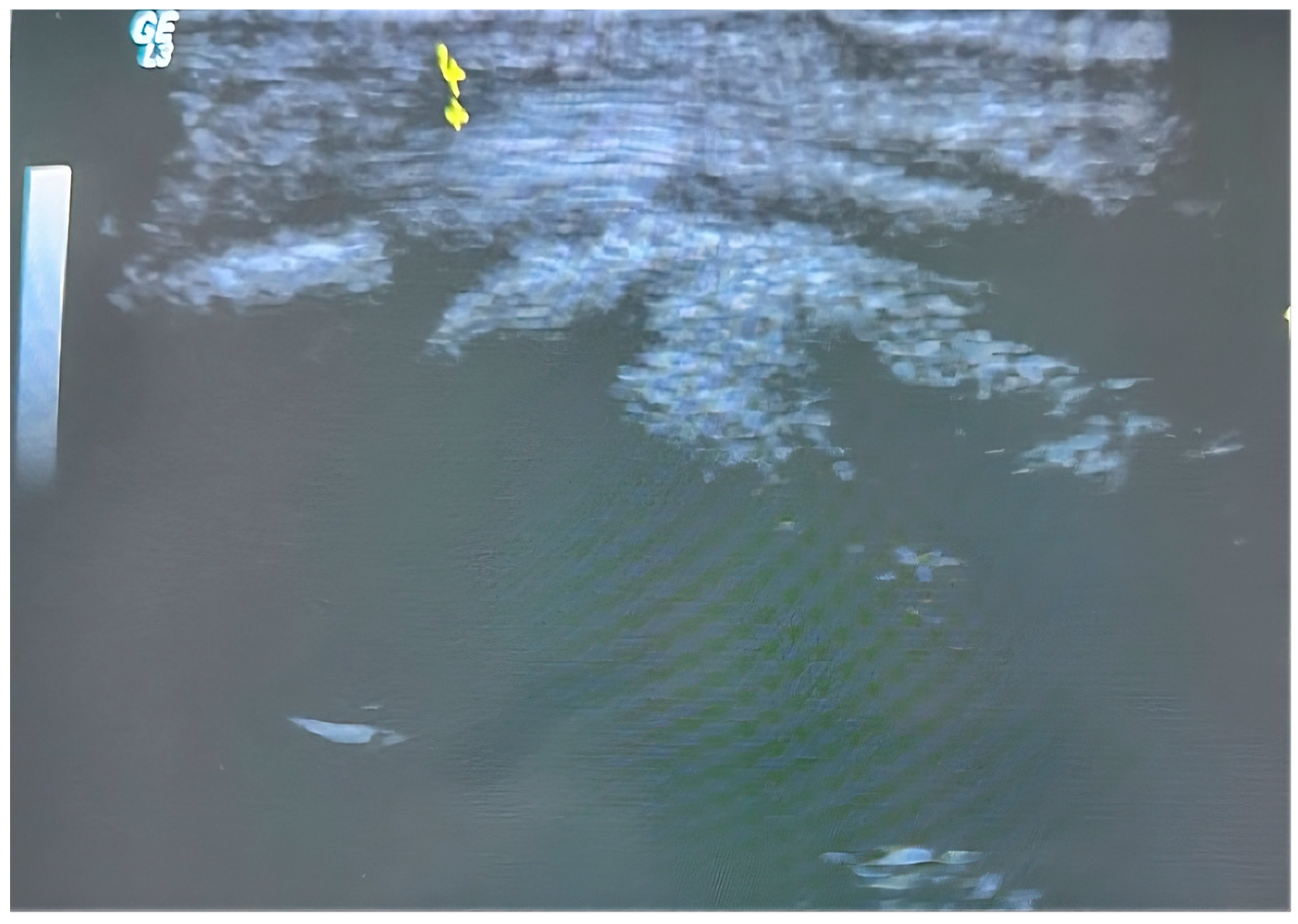 Jcm 14 07064 g002 Jcm 14 07064 g002