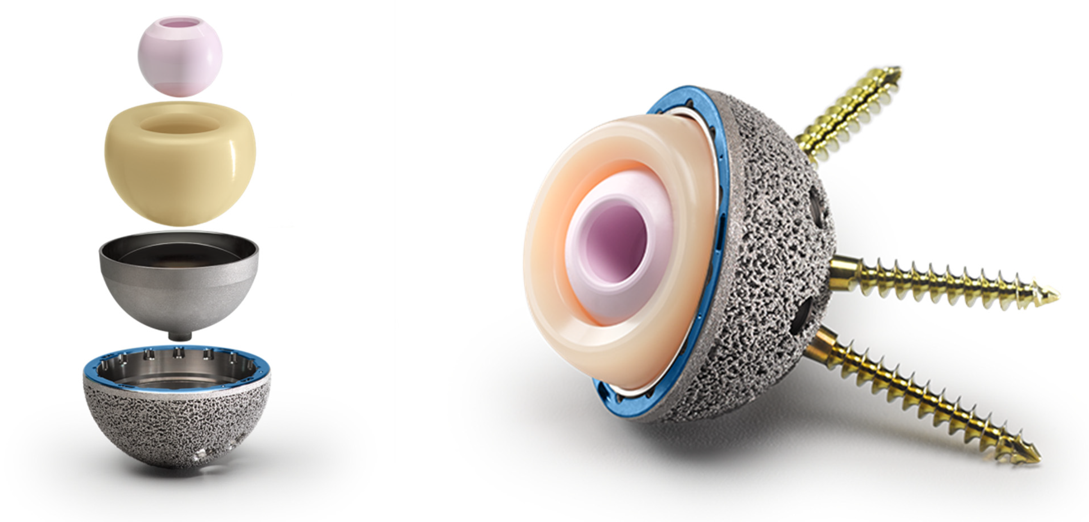 Jcm 14 07071 g002 Jcm 14 07071 g002