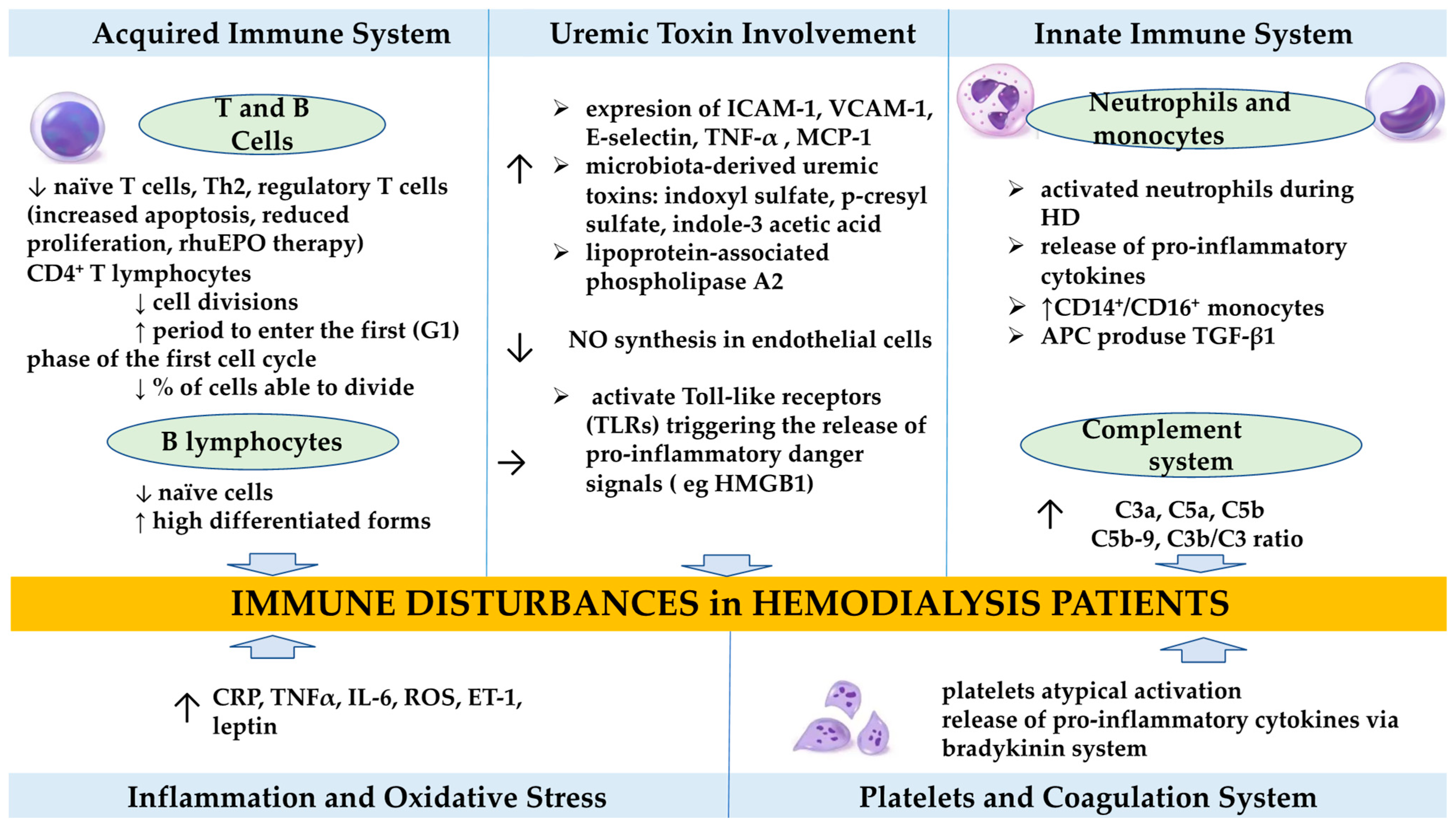Jcm 14 07081 g001 Jcm 14 07081 g001