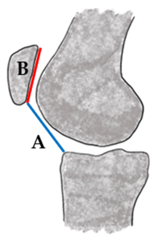 Jcm 14 07085 g001 Jcm 14 07085 g001