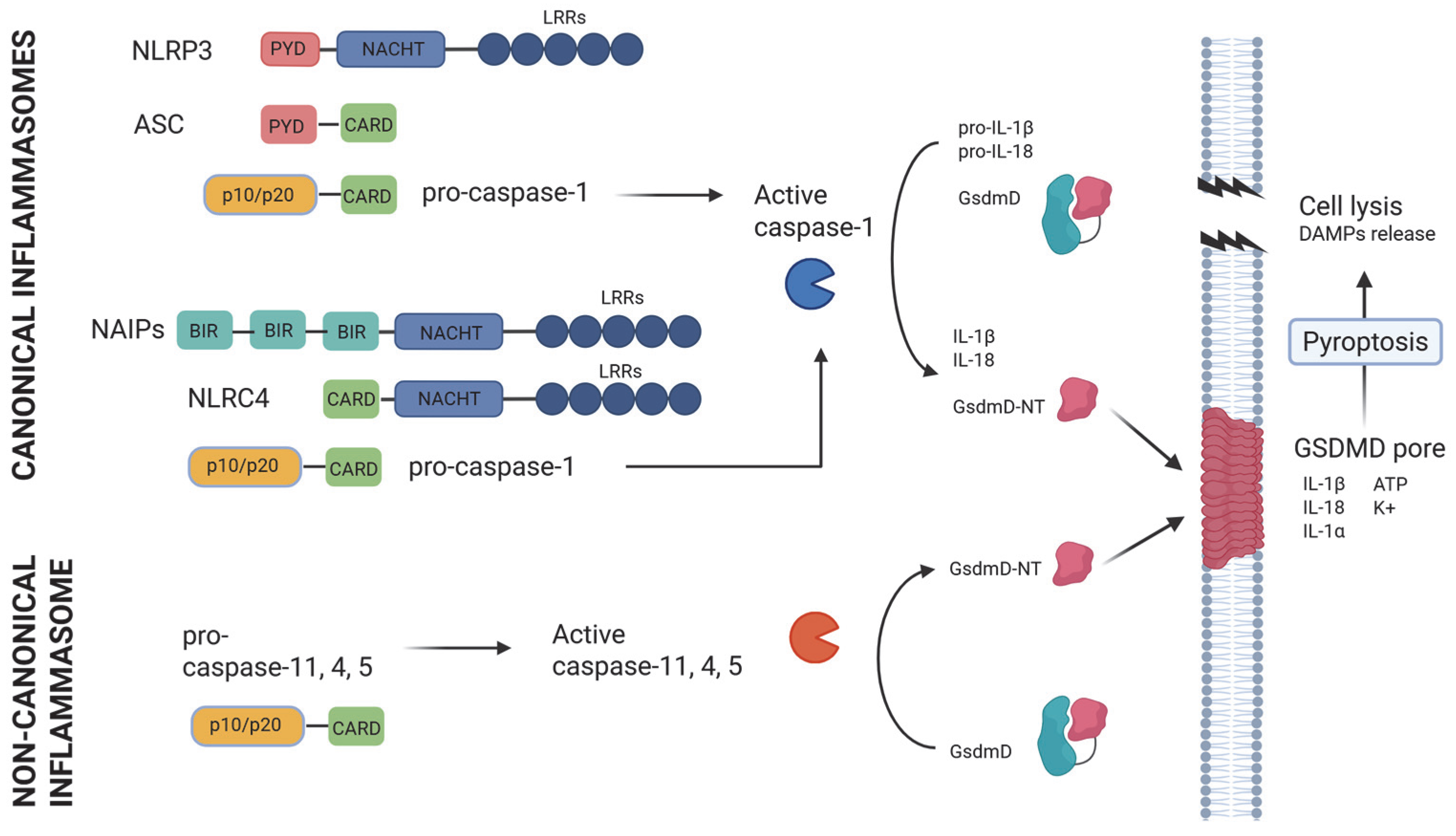 Jcm 14 07102 g001 Jcm 14 07102 g001