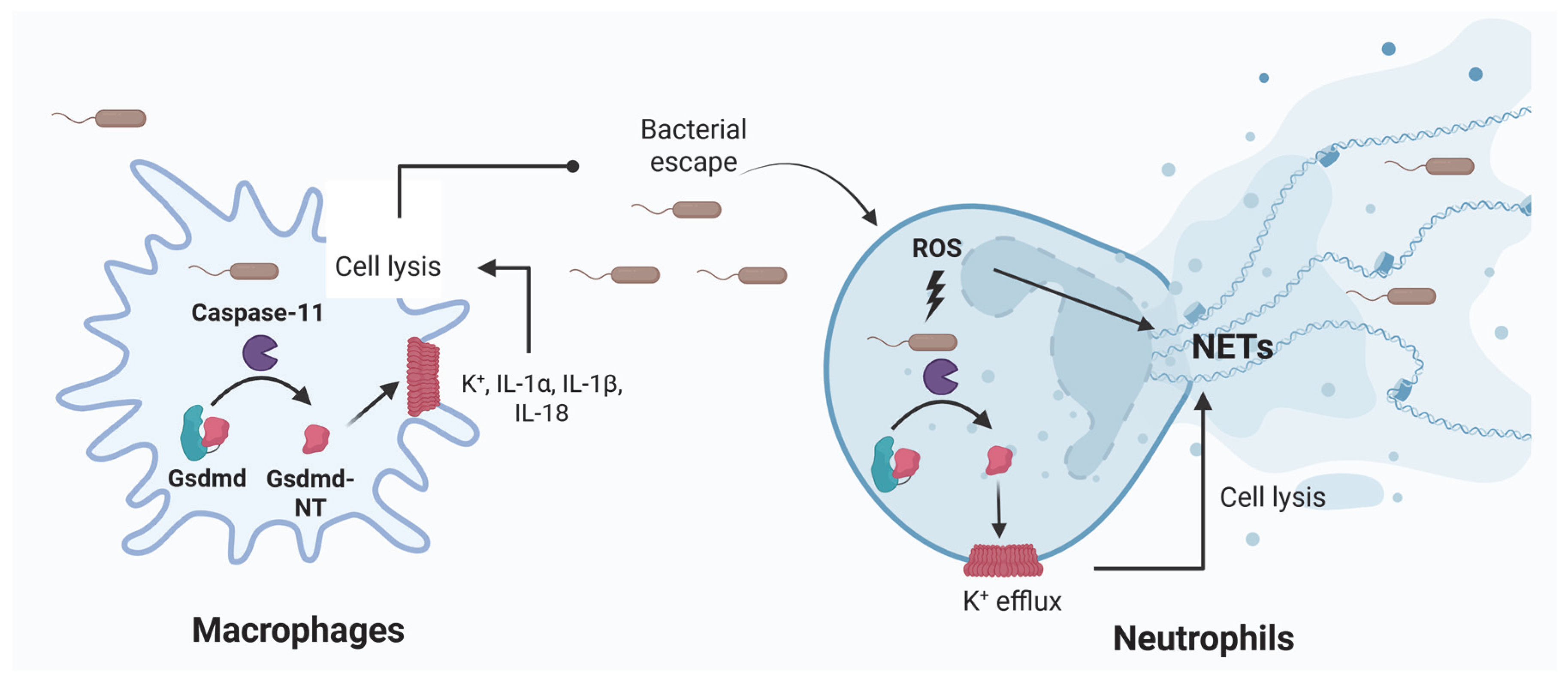 Jcm 14 07102 g002 Jcm 14 07102 g002