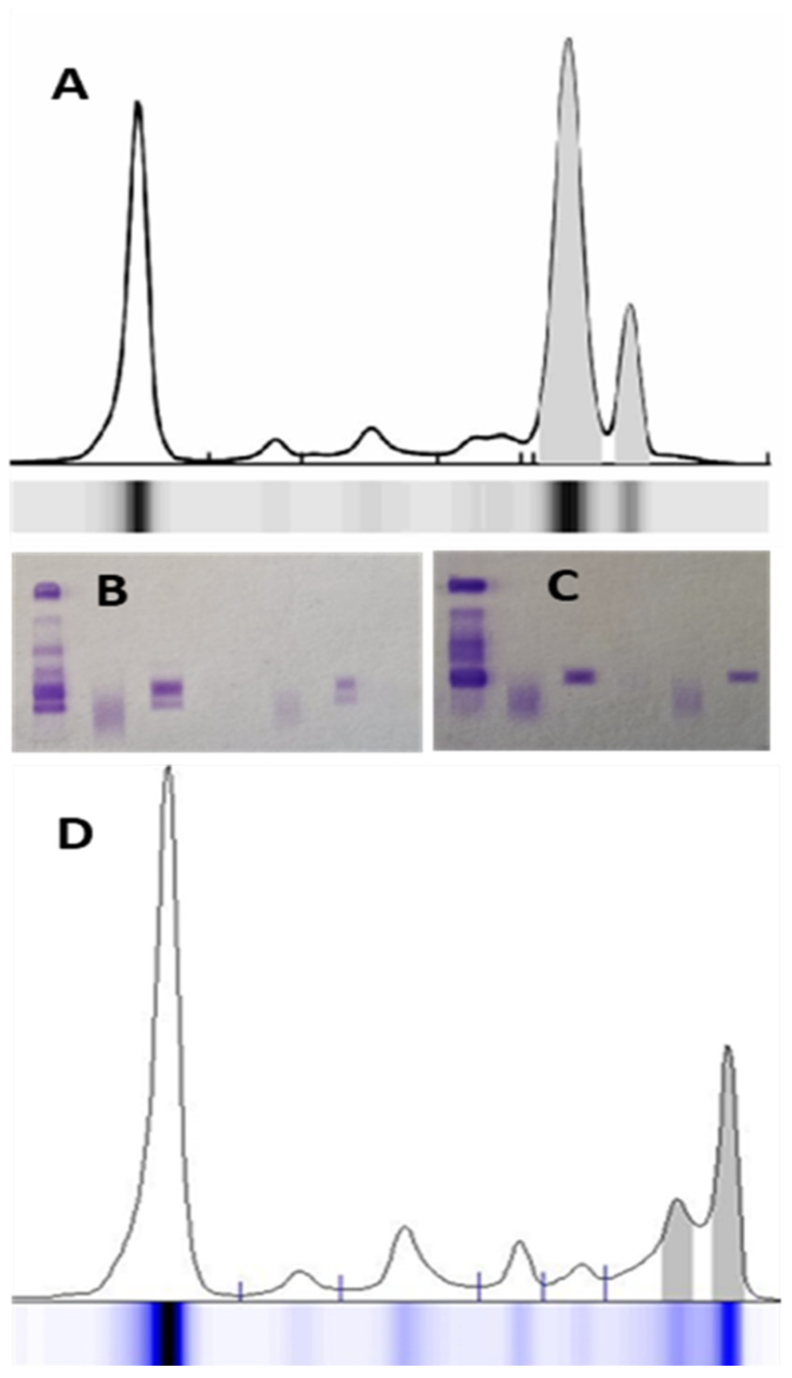 Jcm 14 07115 g003 Jcm 14 07115 g003