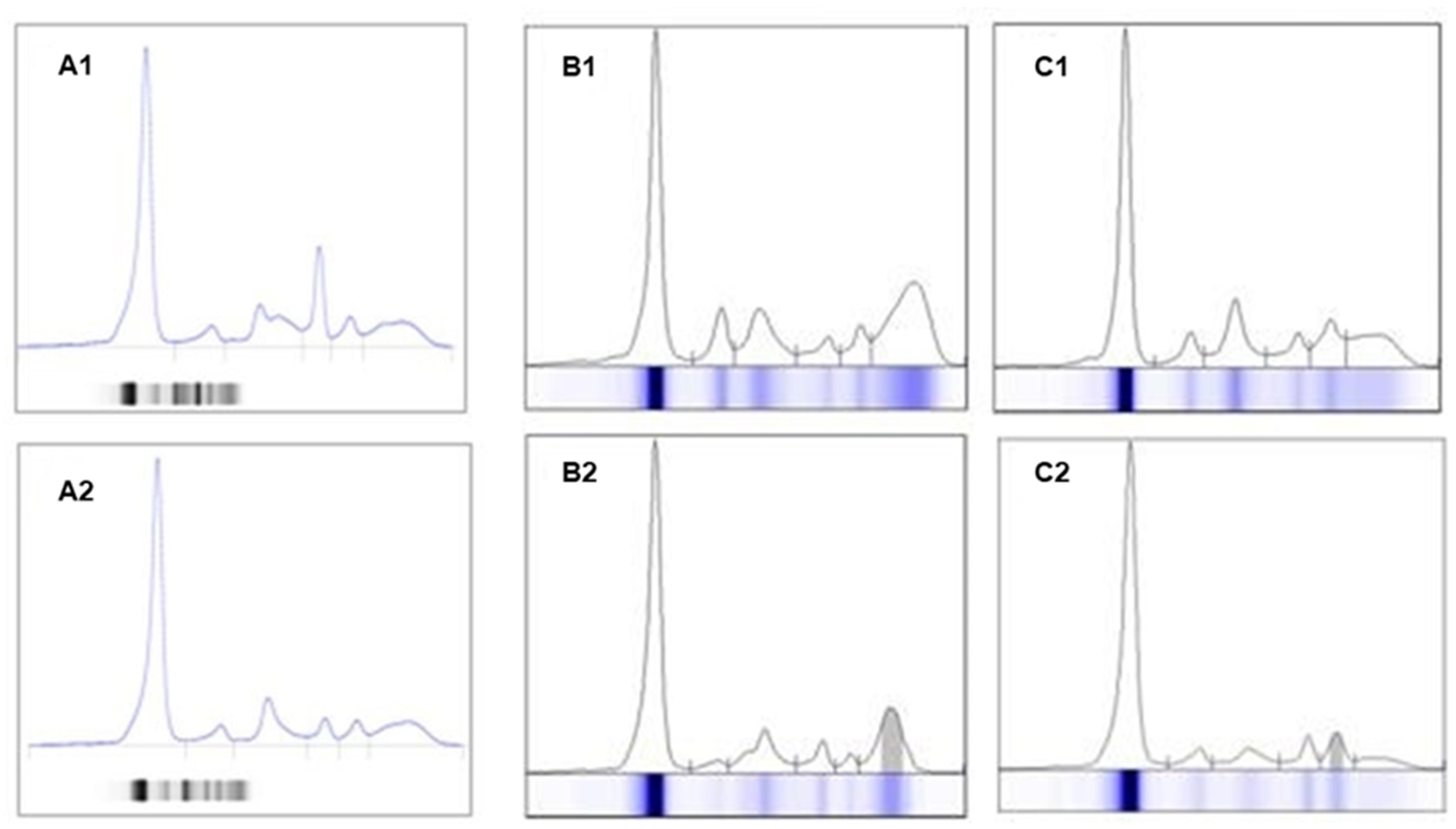 Jcm 14 07115 g004 Jcm 14 07115 g004