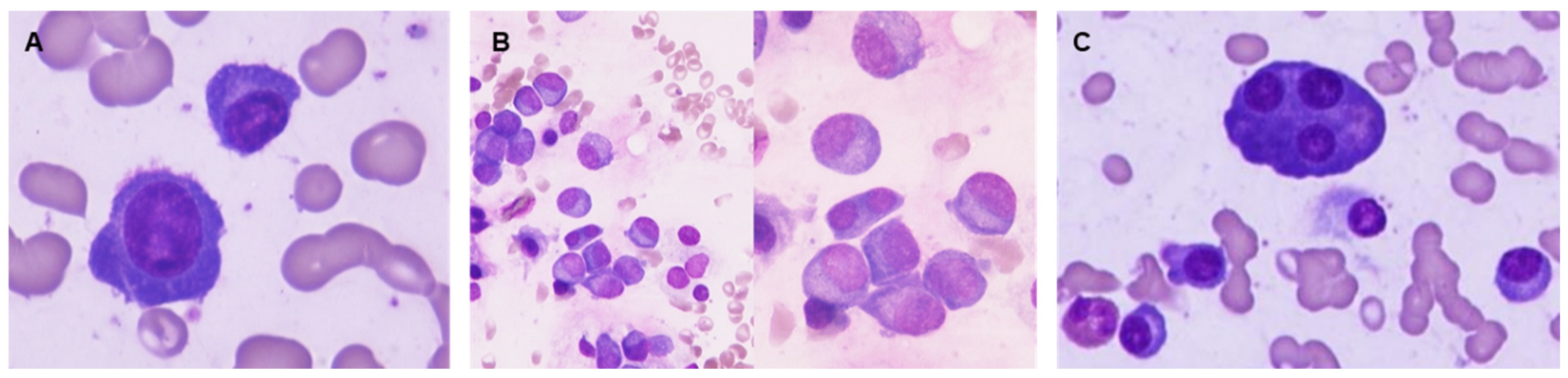 Jcm 14 07115 g005 Jcm 14 07115 g005