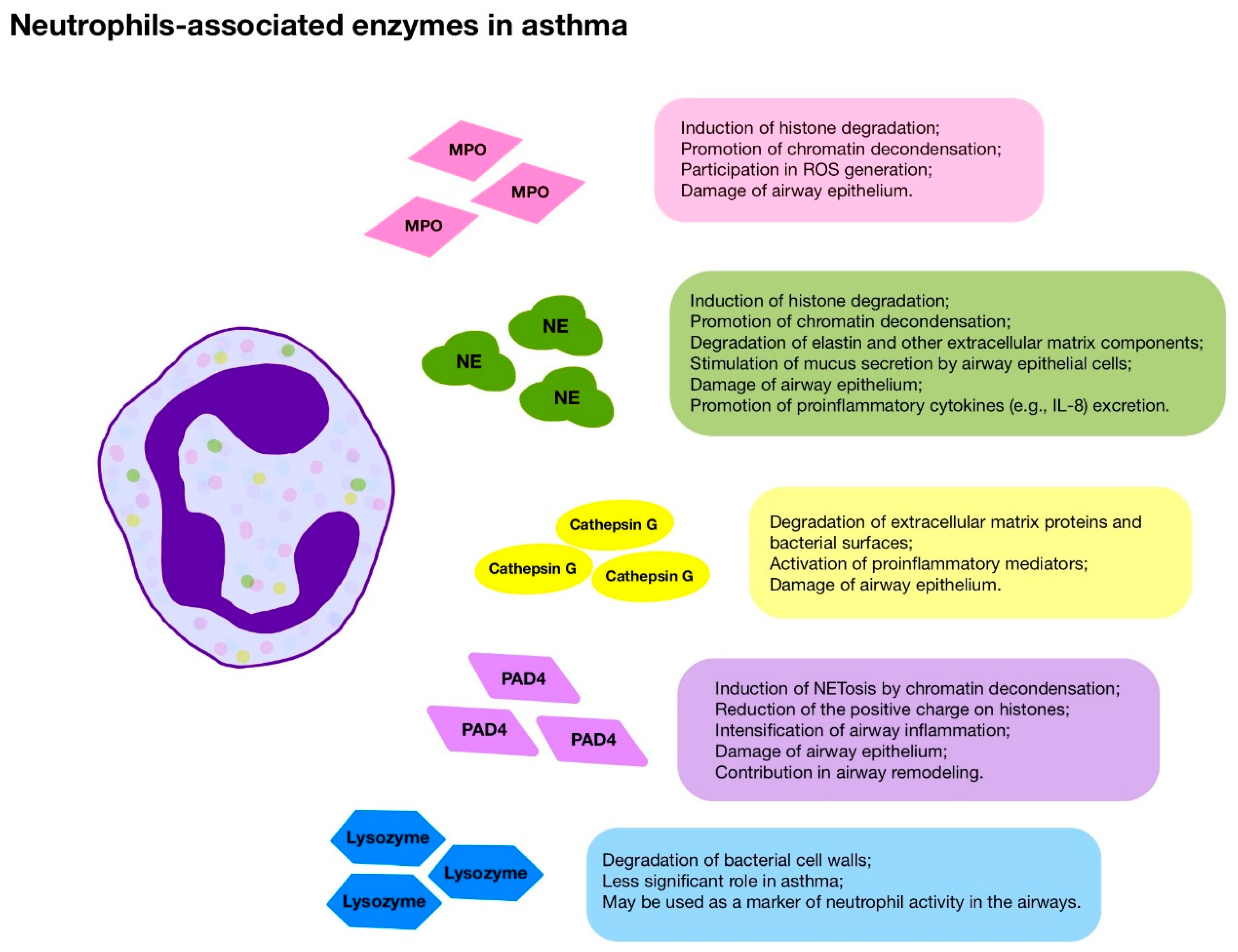 Jcm 14 07137 g001 Jcm 14 07137 g001