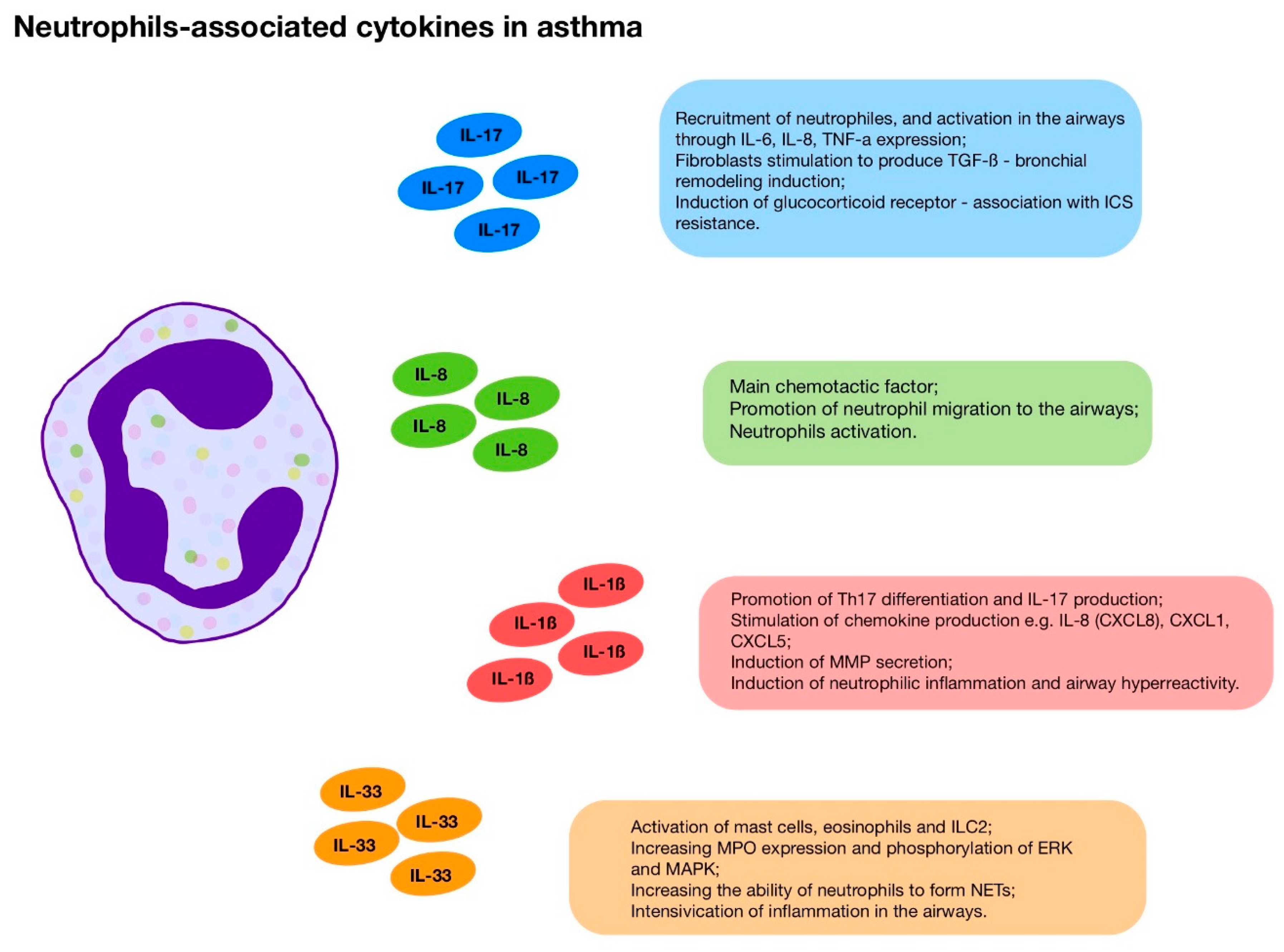 Jcm 14 07137 g002 Jcm 14 07137 g002