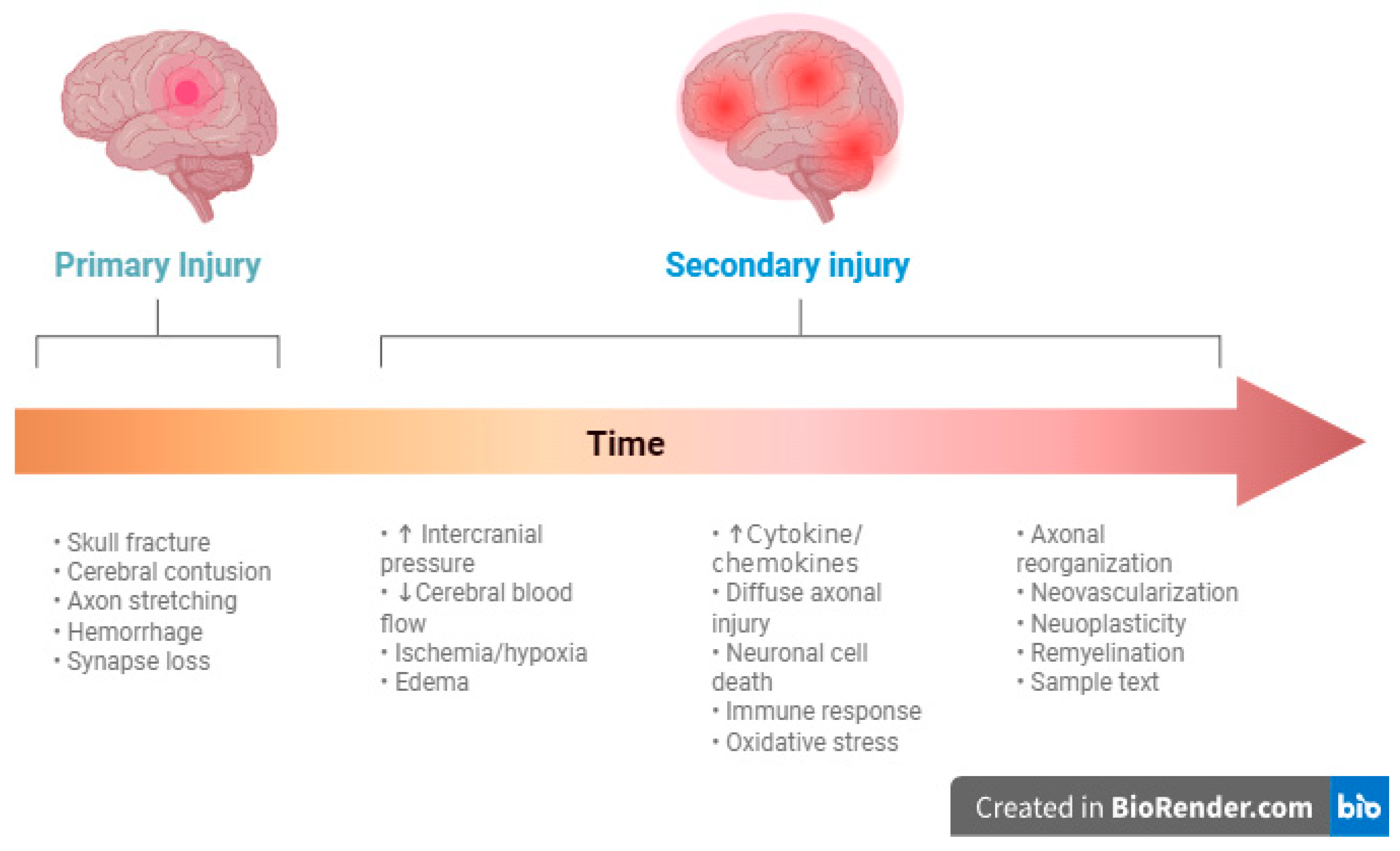 Jcm 14 07145 g001 Jcm 14 07145 g001