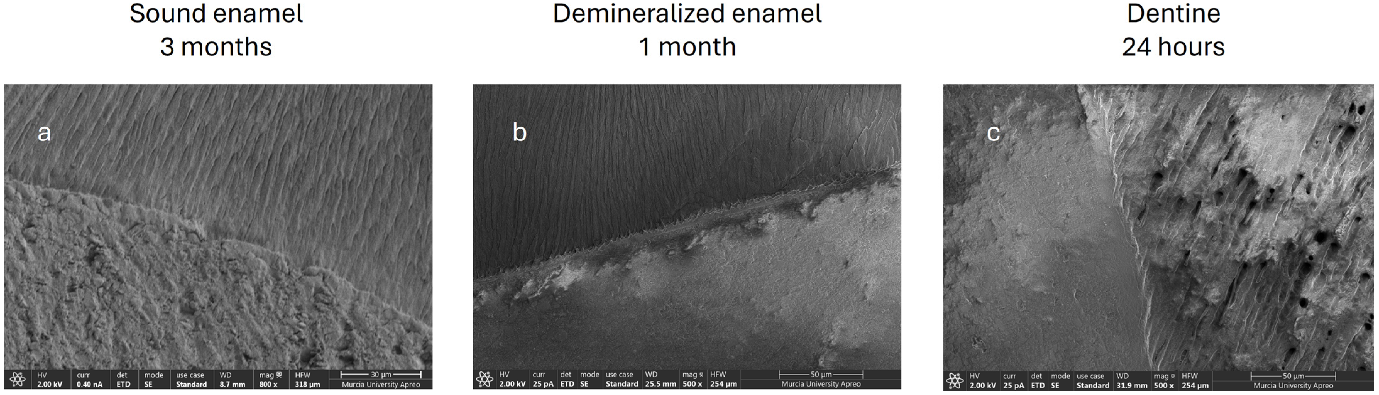 Jcm 14 07166 g011 Jcm 14 07166 g011
