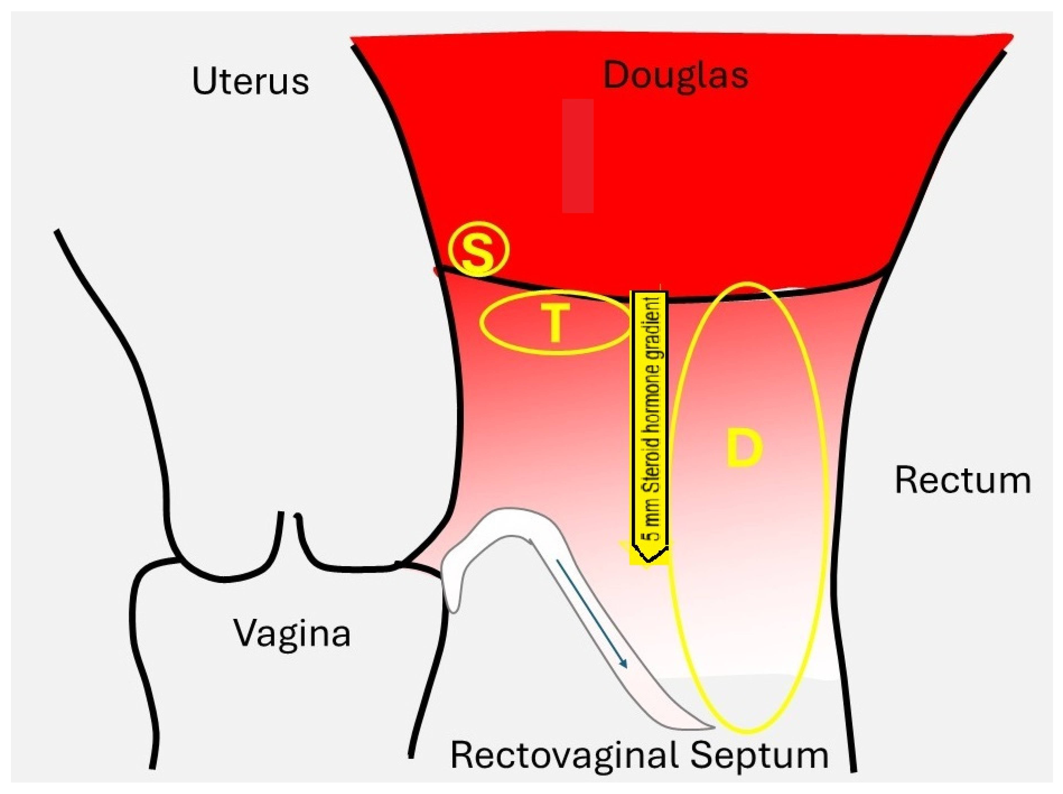 Jcm 14 07196 g002 Jcm 14 07196 g002